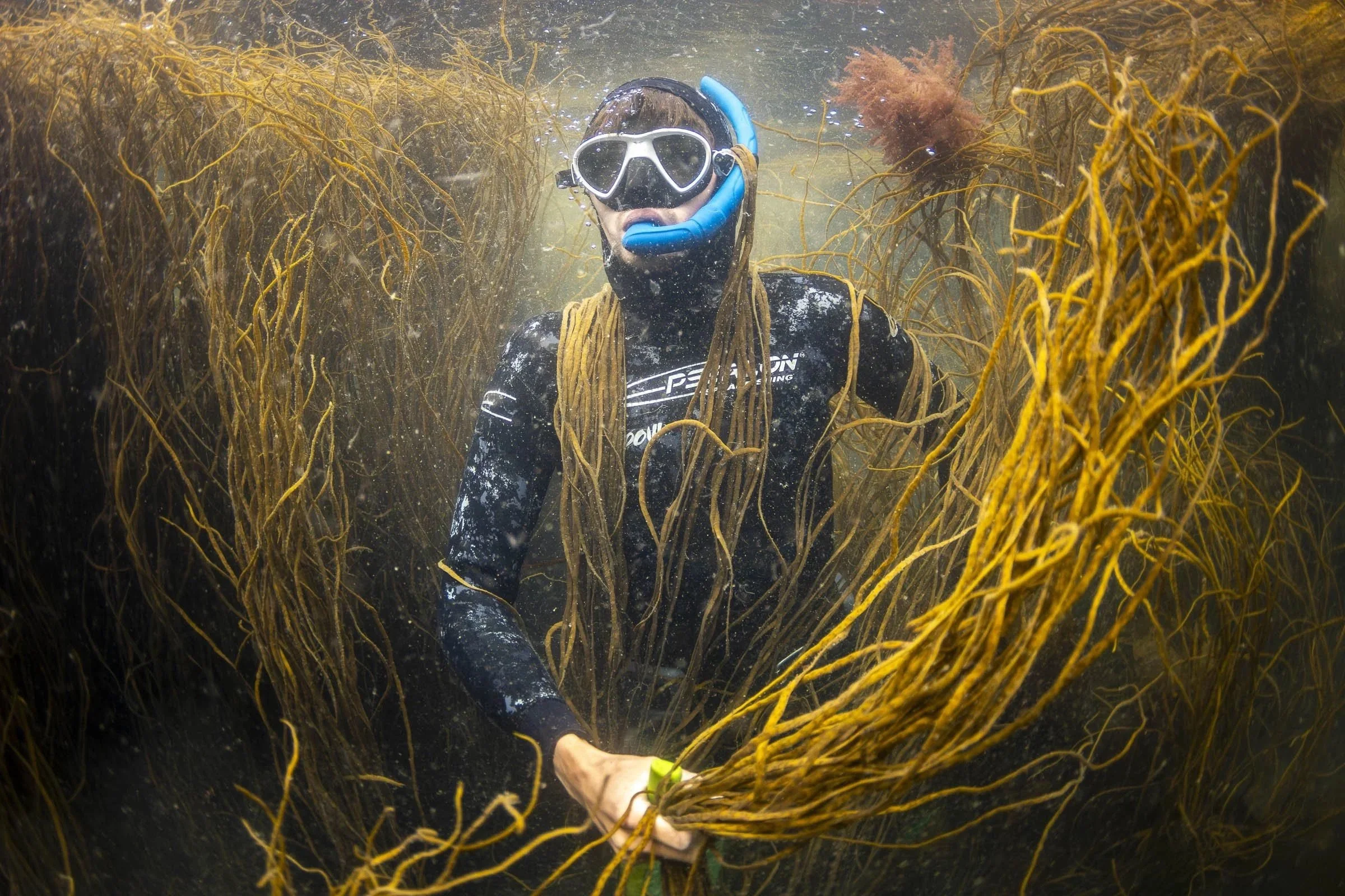 BRAD_WAKFIELD_CORNISH_SEAWEED_HARVEST_0018.jpeg