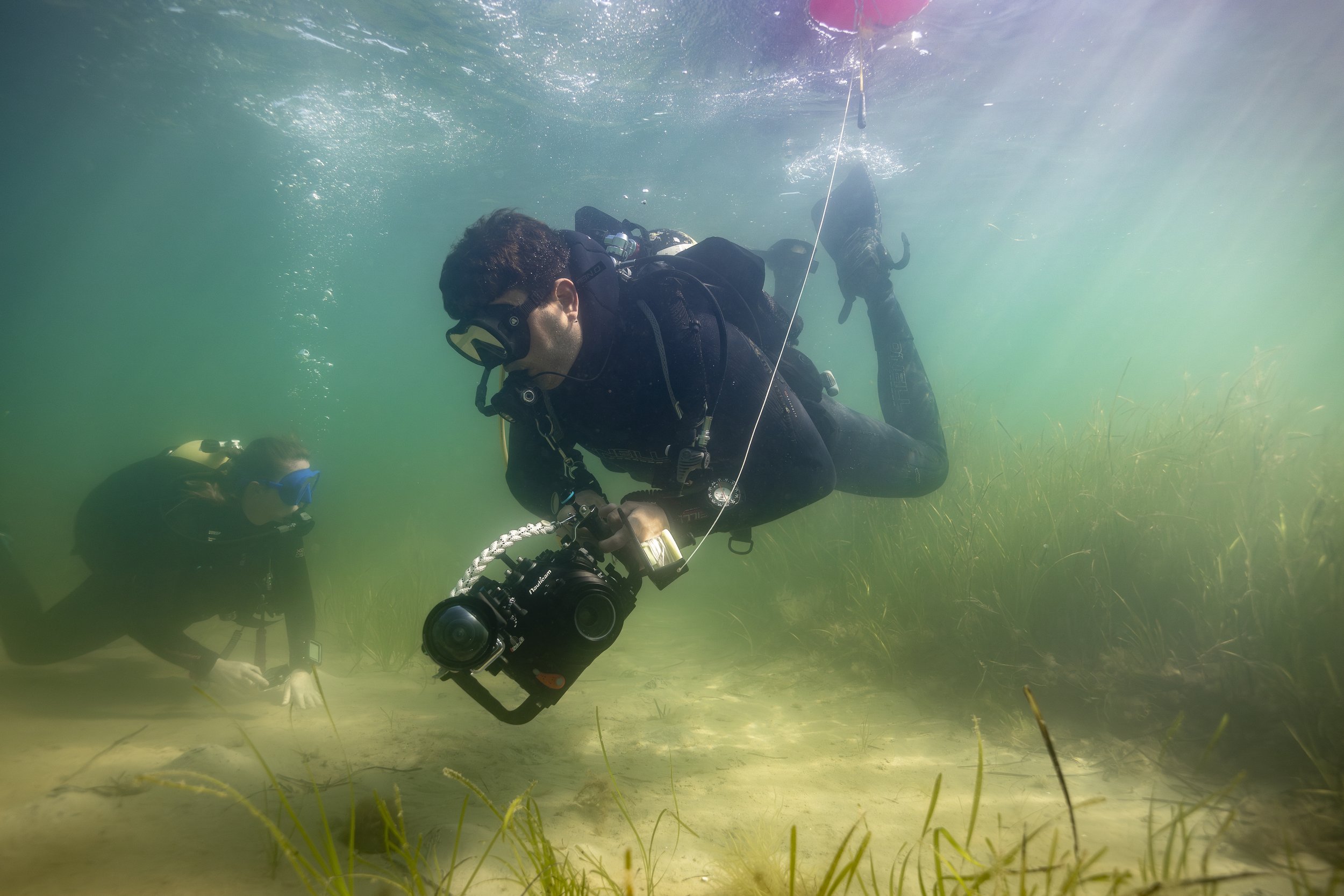 NATIONAL_TRUST_STUDLAND_BAY_SEAHORSE_0021.JPG