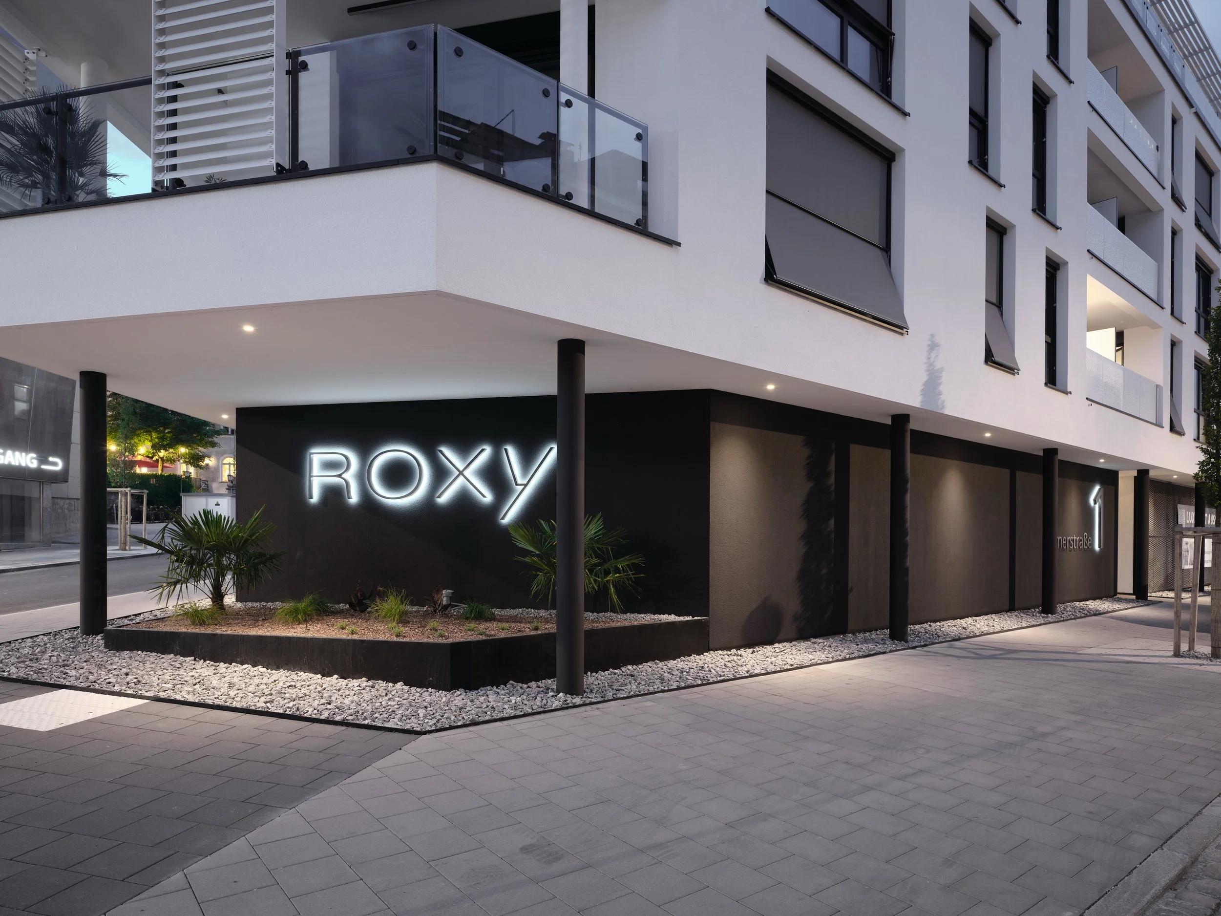 Roxy_03.jpg