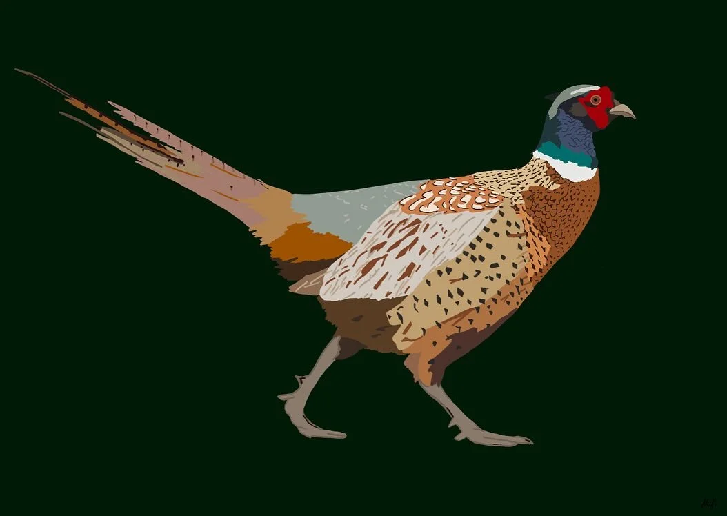Country Prints Series 🌿

Design 1 - The Classic Pheasant 🪶

These designs will be available to purchase on my website soon, or please message me for a printed version! 

#customart #portrait #procreate #drawing #pheasant #countryart