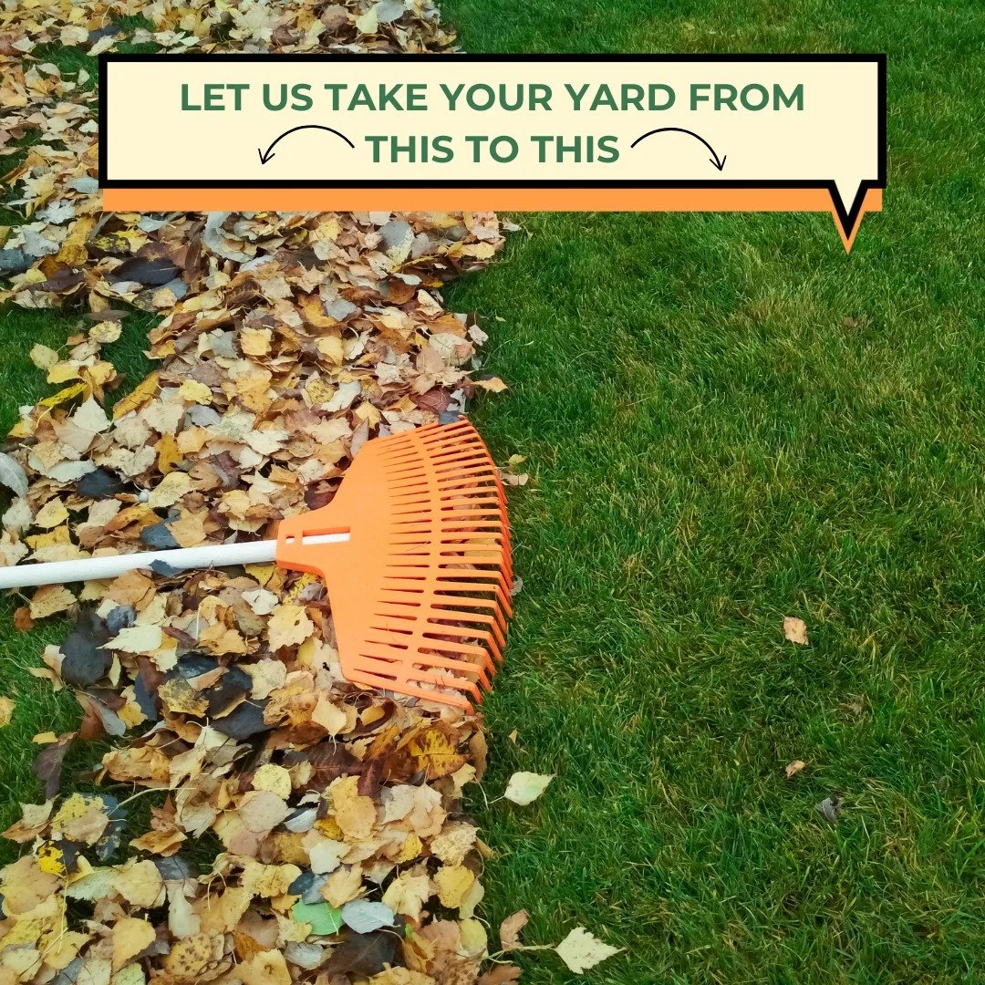 Let us clear your yard of debris! 🍁

#TSFLawnscapes #LawnCare #LandScapes #Tulsa #Oklahoma #GreenCountry #Mowing #Edging #Trimming #Landscaping #LeafRemoval #TrashRemoval #FenceRepair #Installation