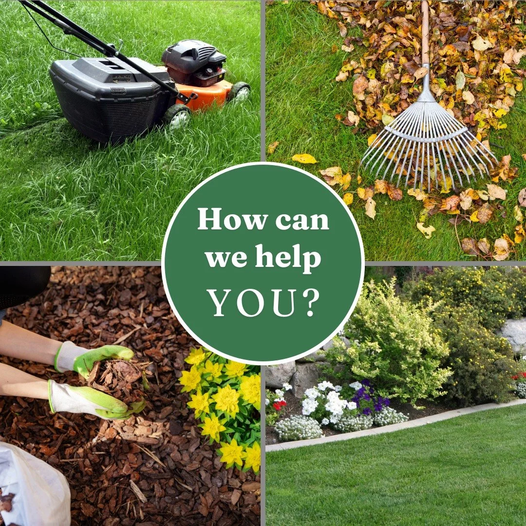 A lawn company you can trust!

Give us a call 📲

#TSFLawnscapes #LawnCare #LandScapes #Tulsa #Oklahoma #GreenCountry #Mowing #Edging #Trimming #Landscaping #LeafRemoval #TrashRemoval #FenceRepair #Installation