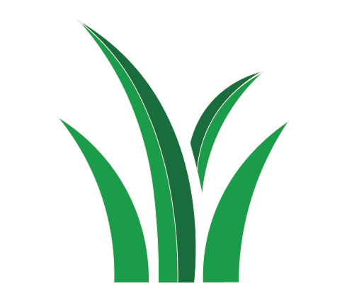 LAWNSCAPES