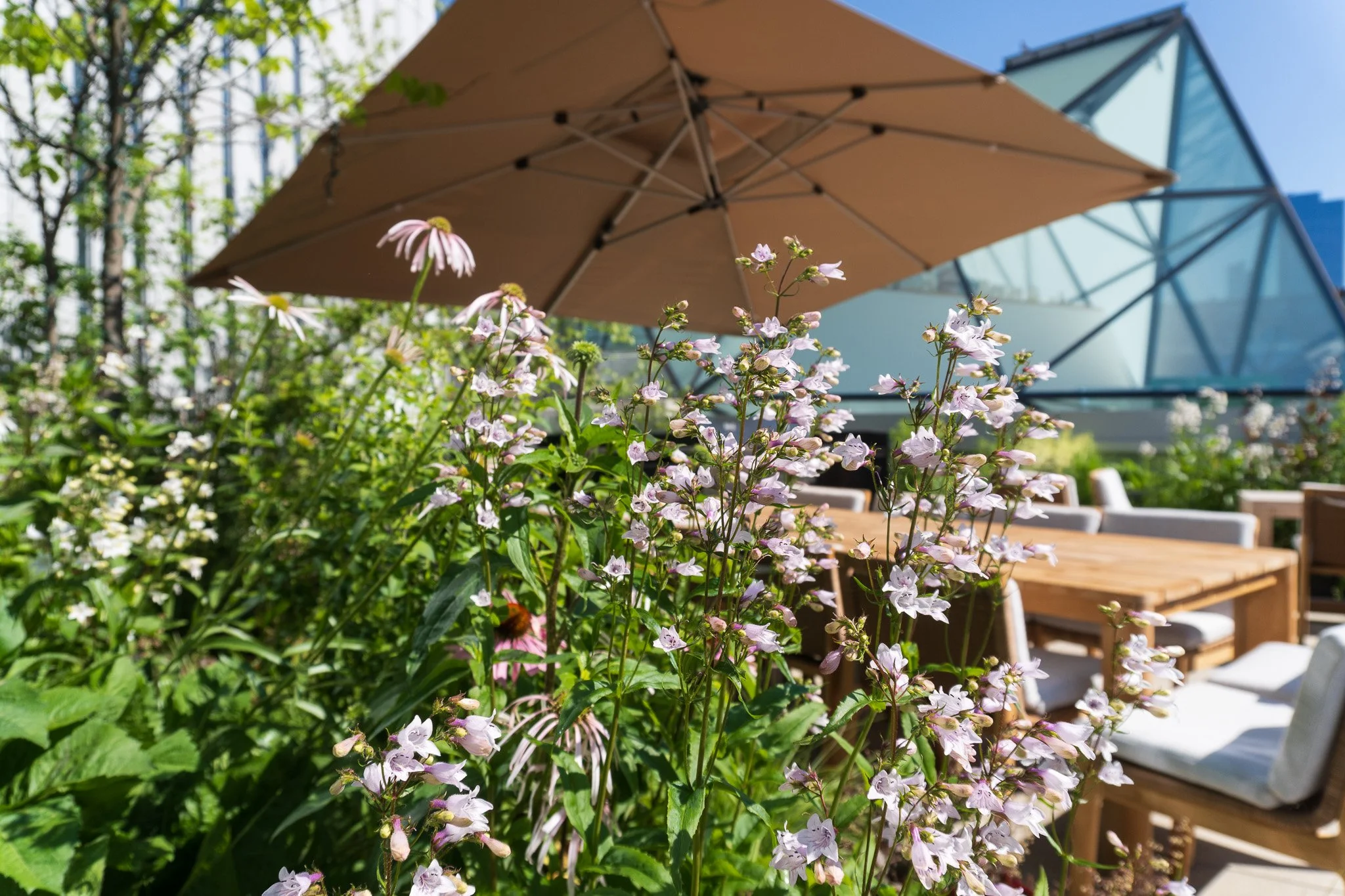 Seating and planting on the terrace, seen along its length