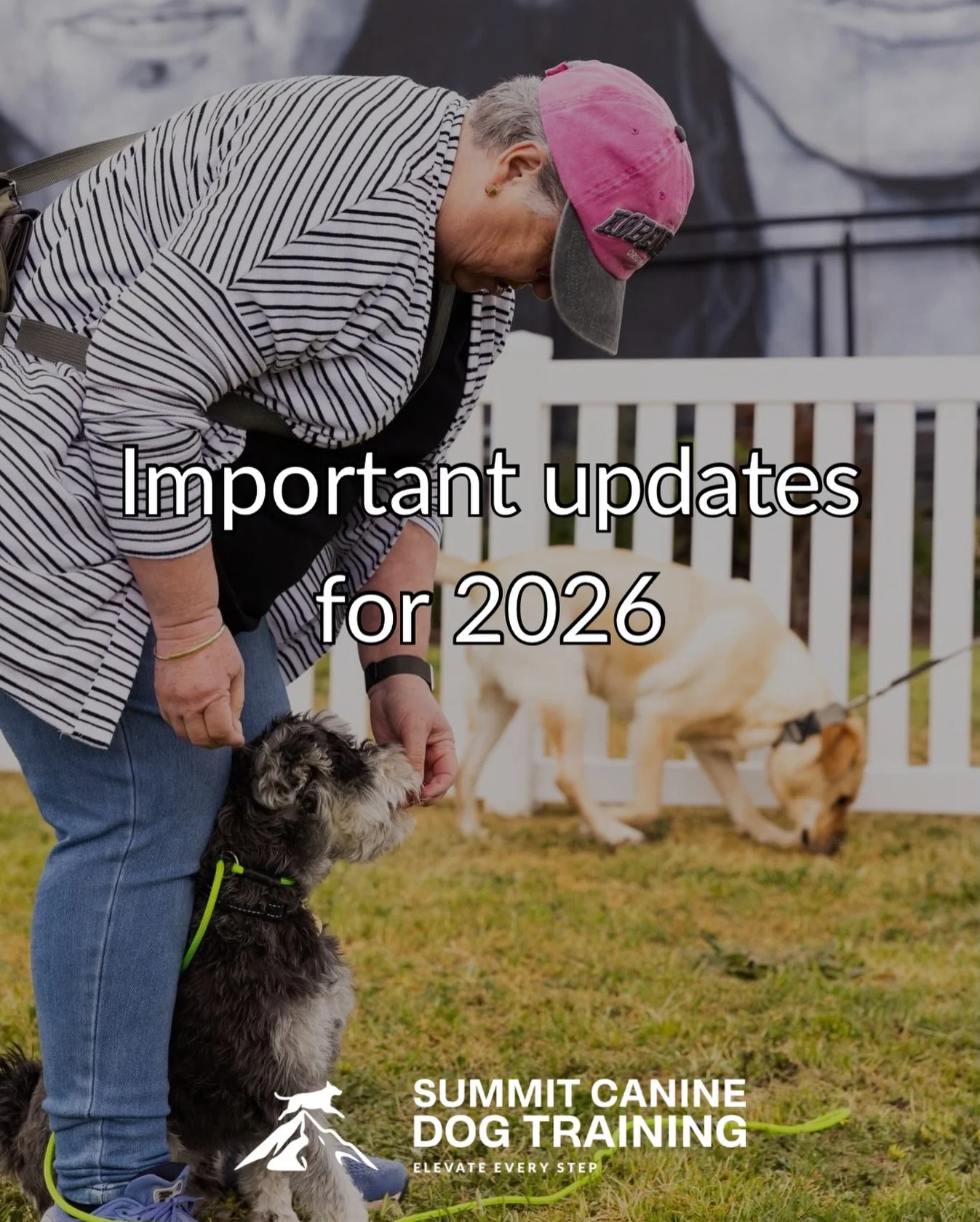 ✨2026 Updates at Summit Canine ✨ 

As we head into the new year, there are a few changes coming to how bookings and services will run in 2026.

Our online booking system will be switched off. This allows us to open up more flexible booking times and 