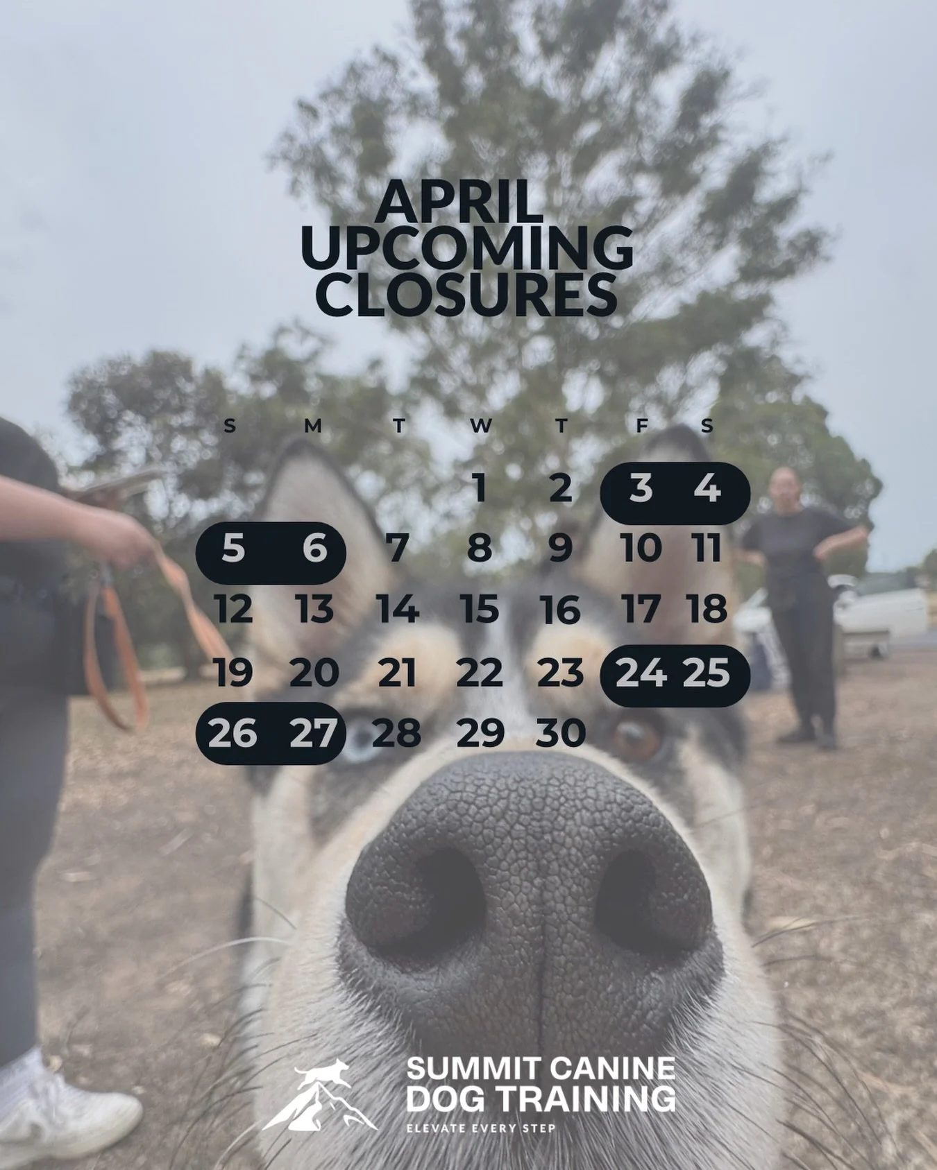 With April right around the corner - here&rsquo;s an availability update for y&rsquo;all. 

We will be closed April 3-6 for the Easter long weekend 🐣and April 24-27 travelling for a wedding 🥰

We still have some limited weekday evening sessions for