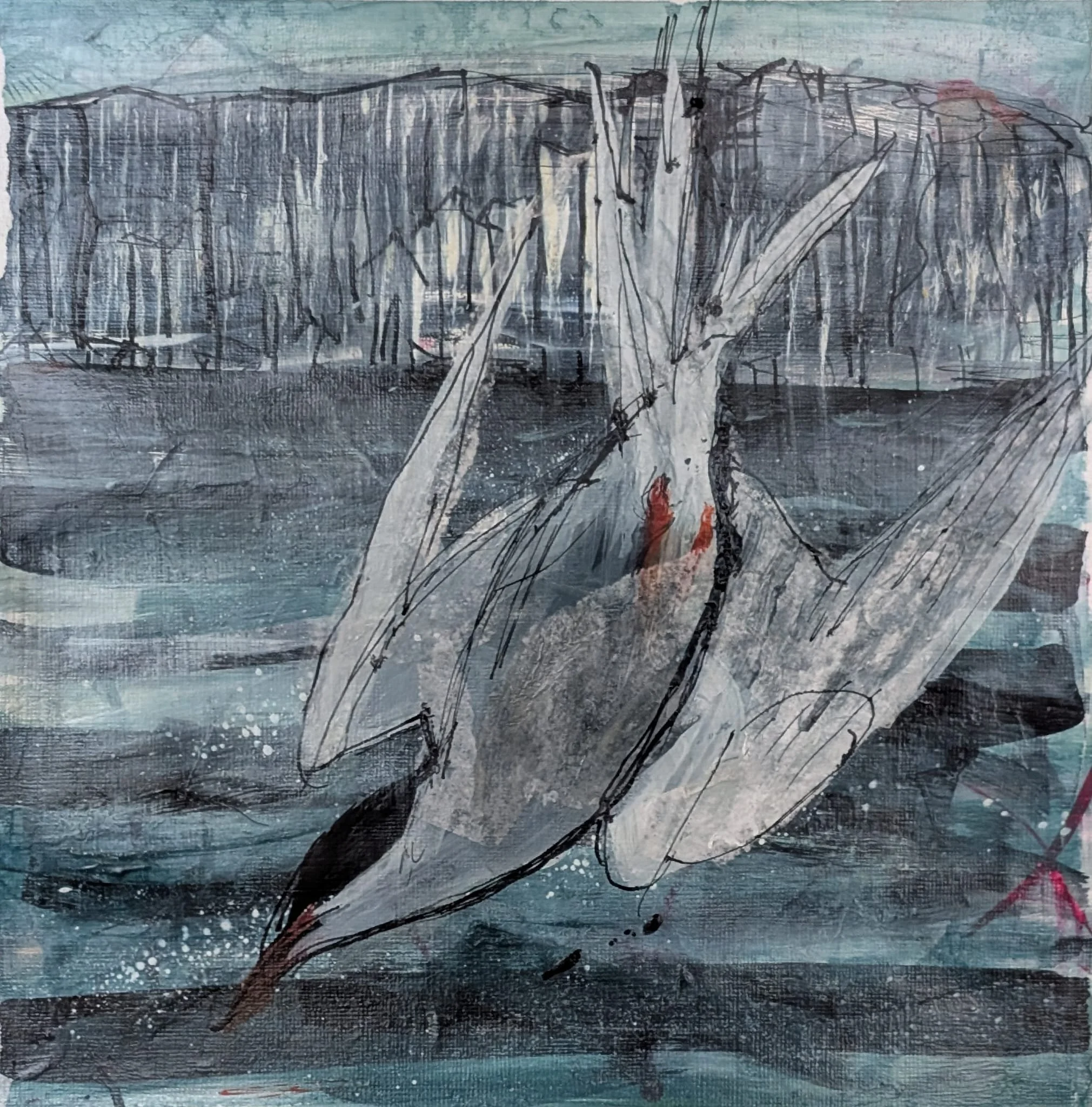 WhatsApp Image 2025-04-03 at 15.04.18.jpeg