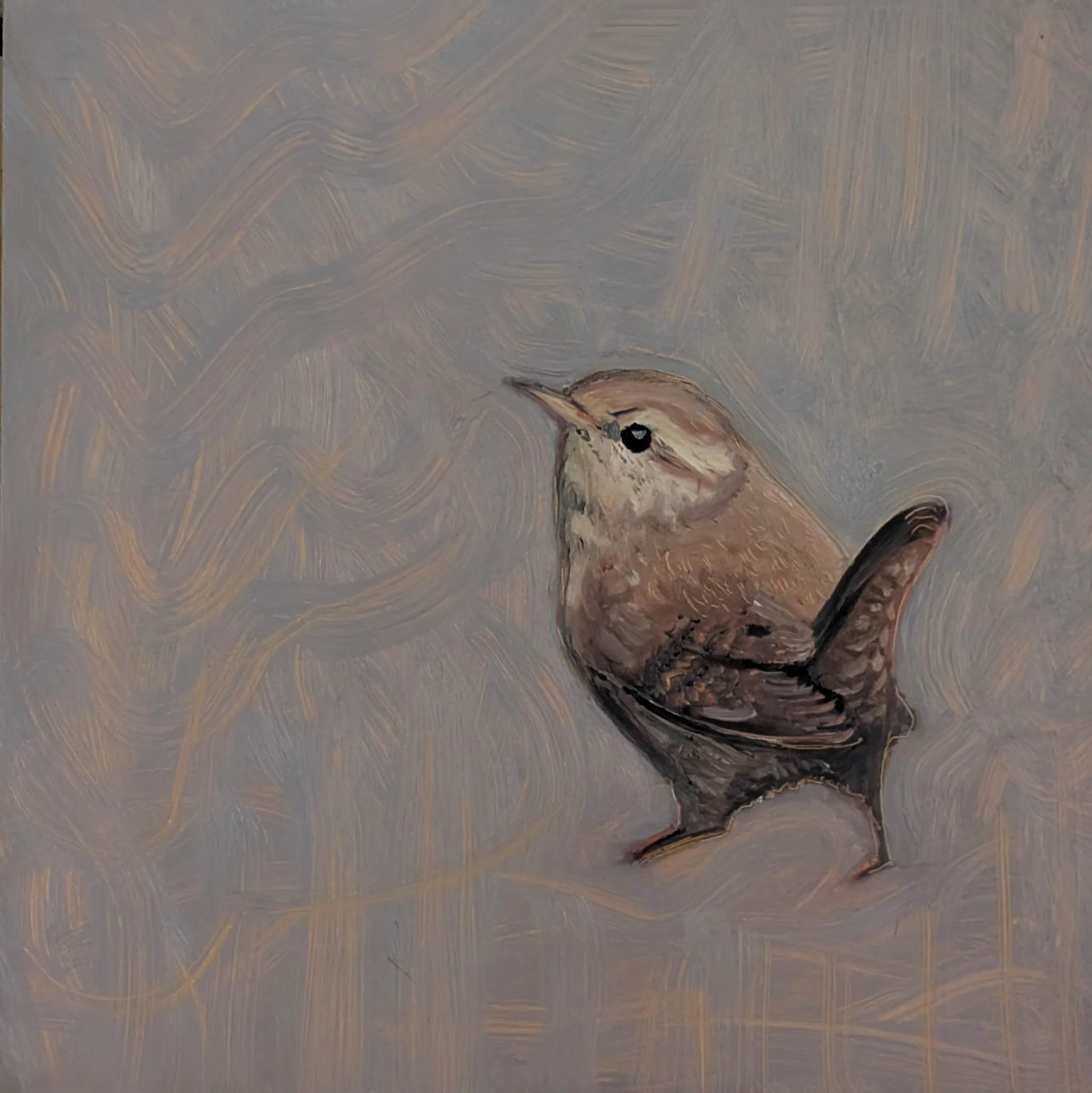 WhatsApp Image 2025-04-03 at 15.03.10.jpeg