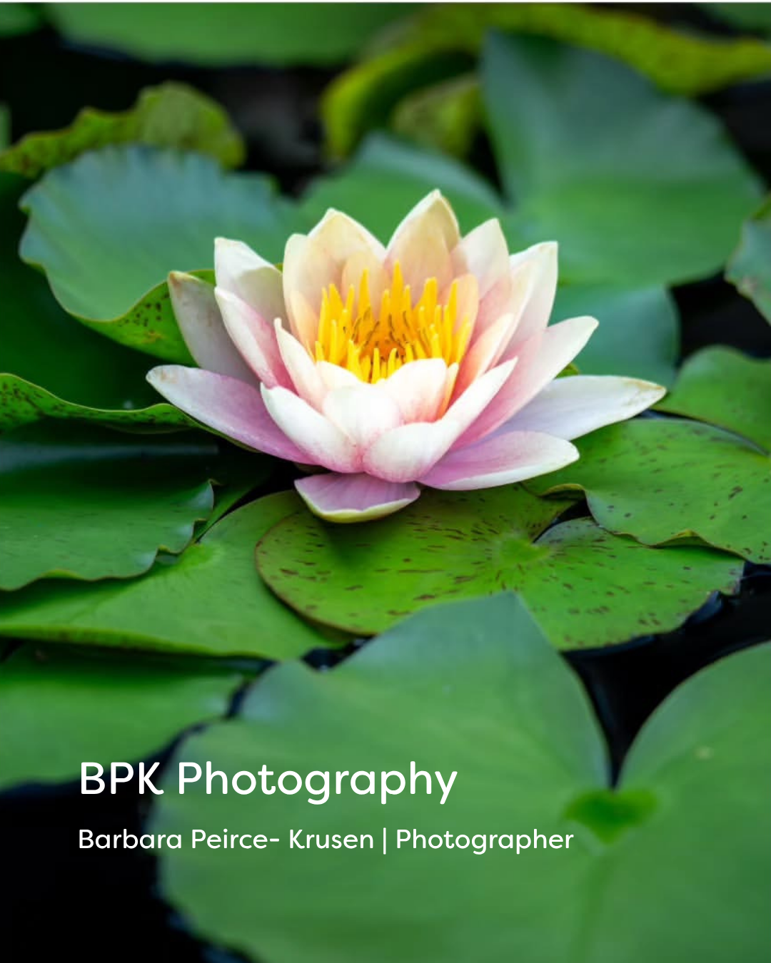 BPK Photography