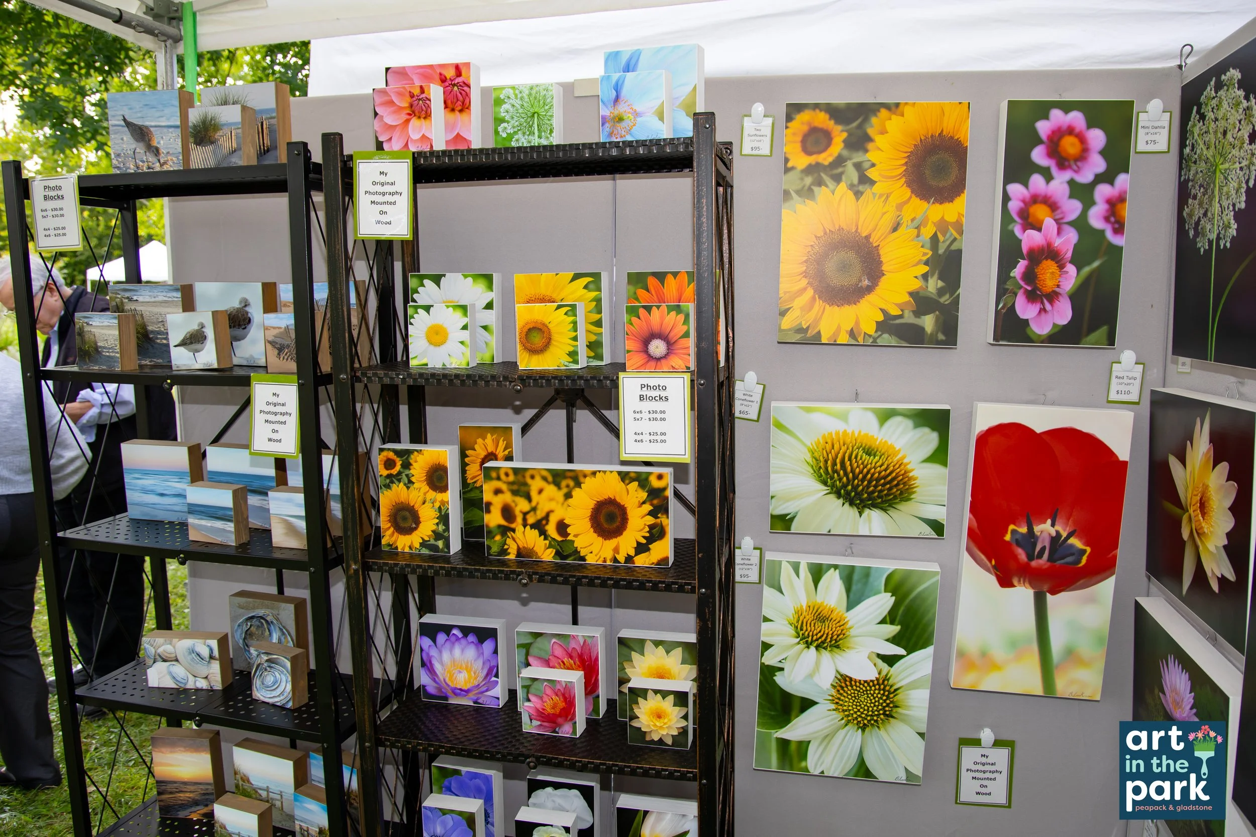 ArtinthePark25thAnniversary@LibertyPark-271.jpg