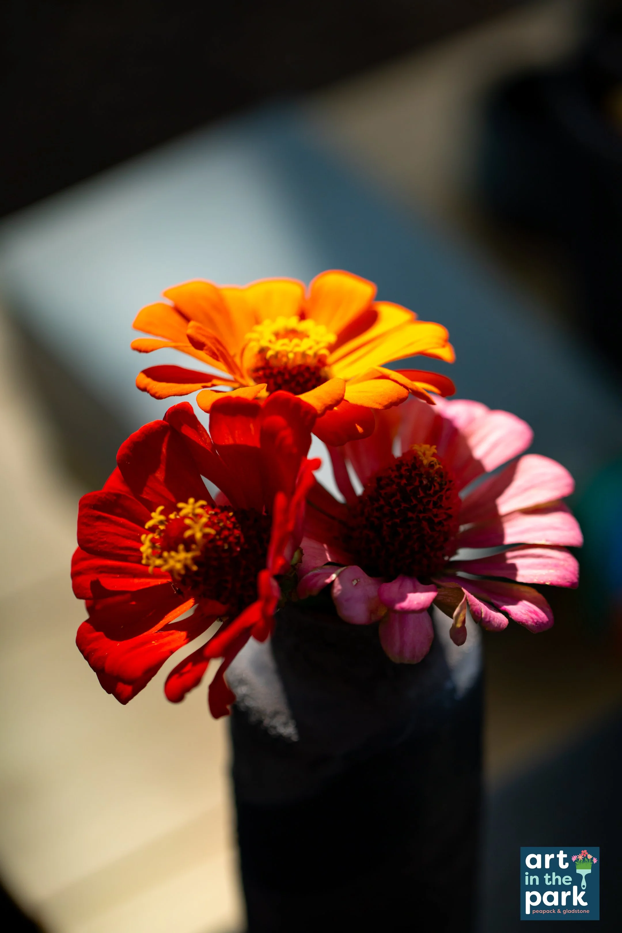 ArtinthePark25thAnniversary@LibertyPark-261.jpg