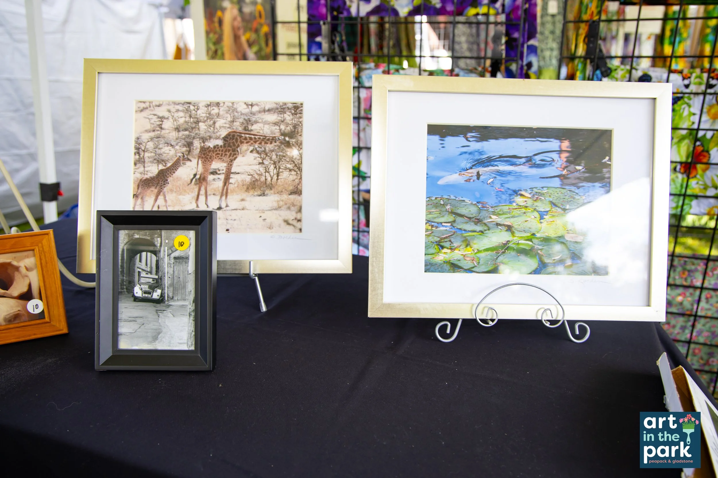 ArtinthePark25thAnniversary@LibertyPark-283.jpg
