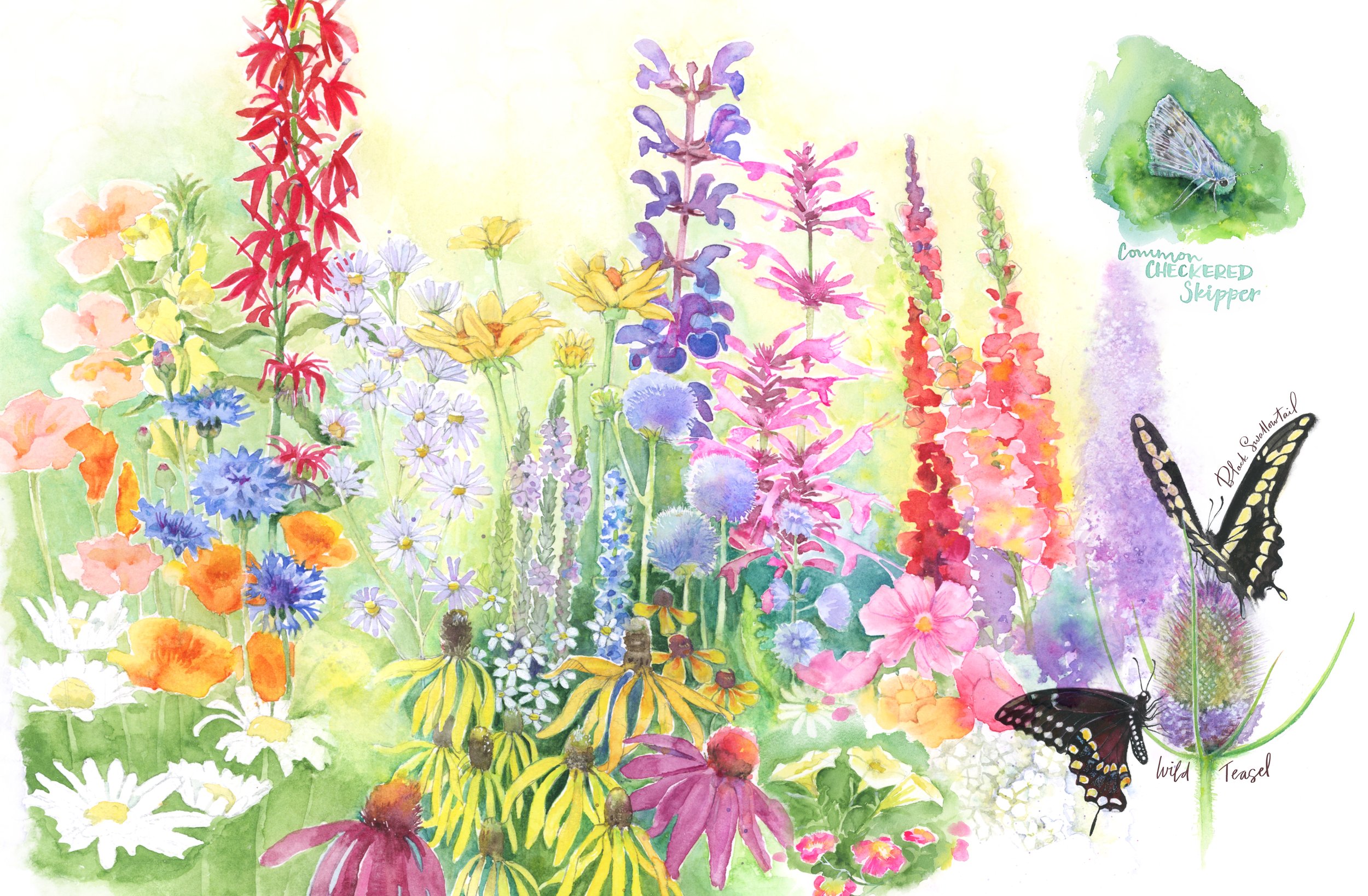 Wildflowers sketchbook