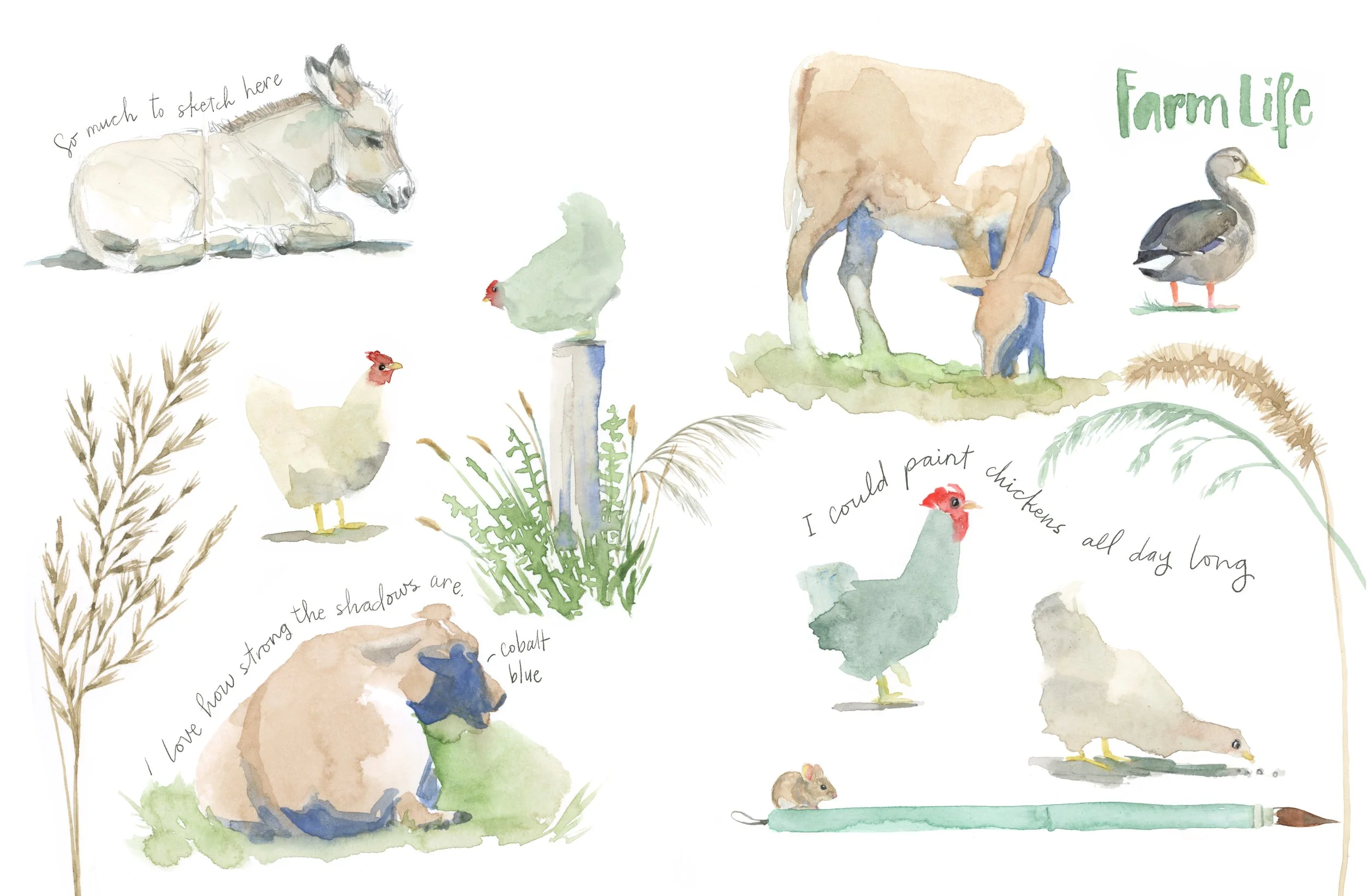 on the farm sketchbook page