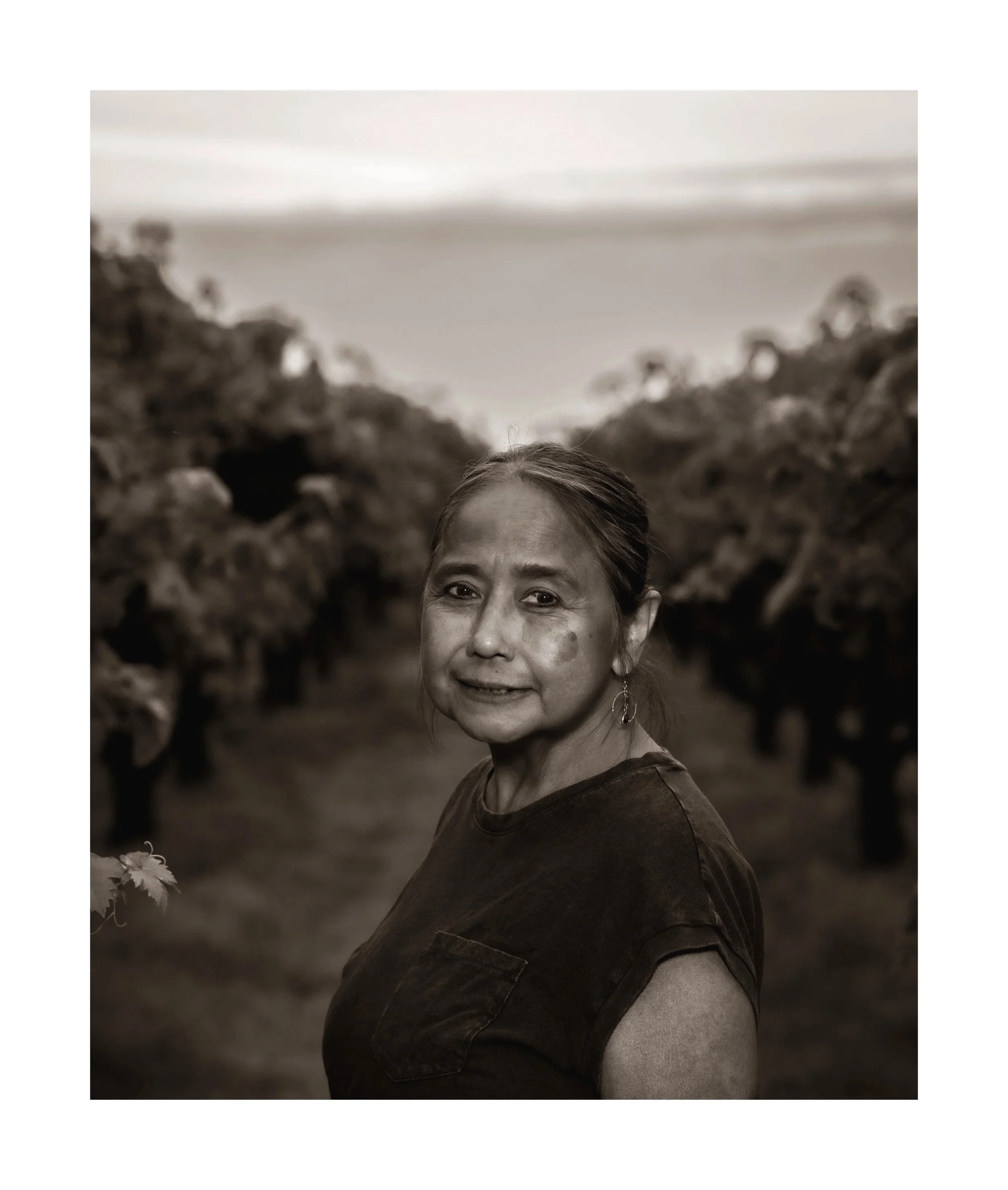Magdalia_Stonum+Vineyards+copy+2.jpg