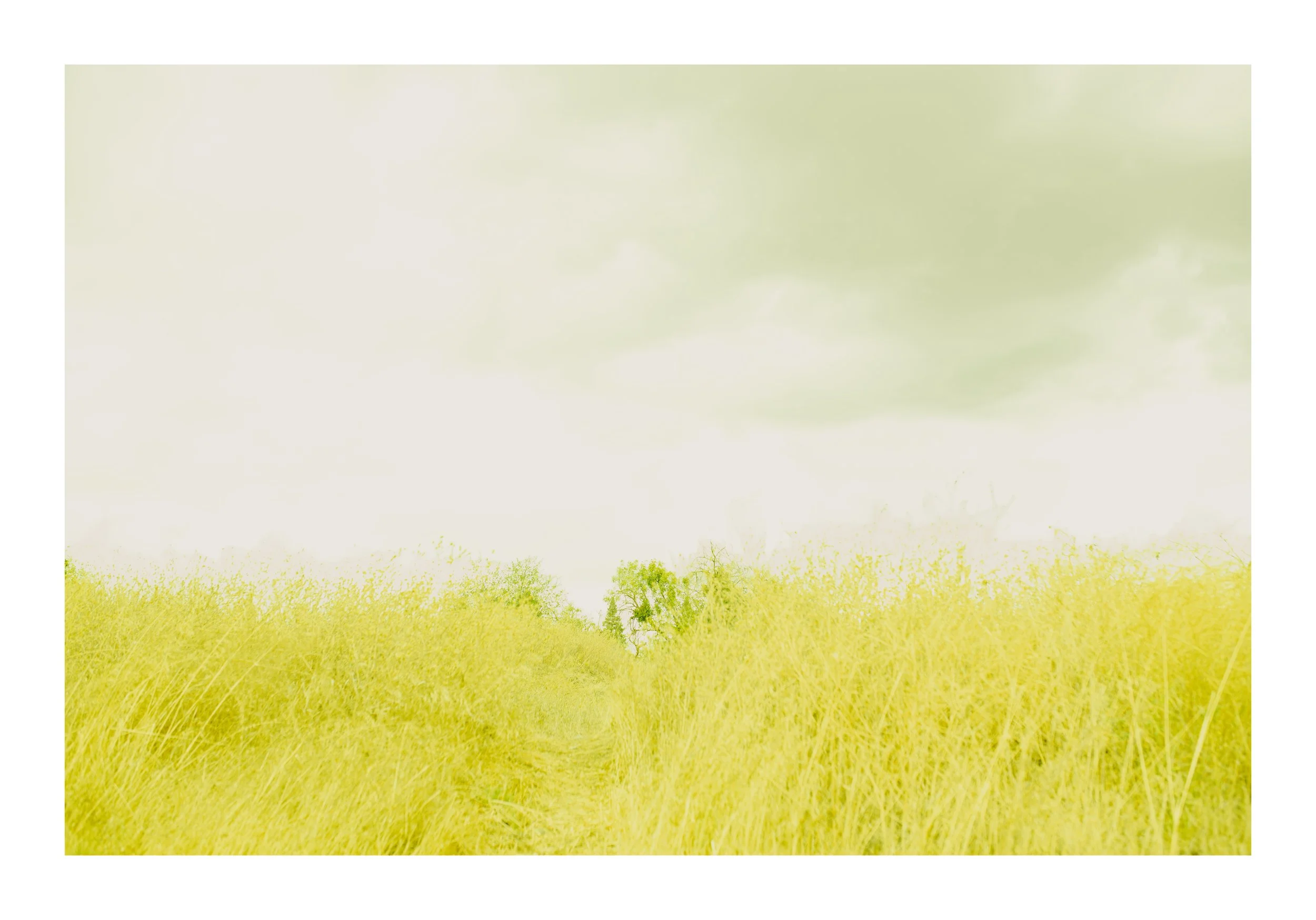 Alone_II_Nov 2025 copy 2.jpg