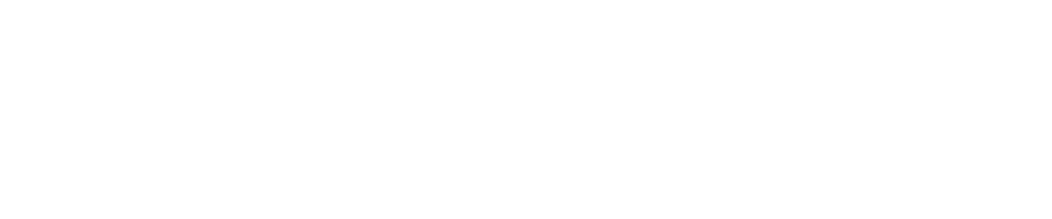 Close-up of the Swedfund logo in white on a black background.