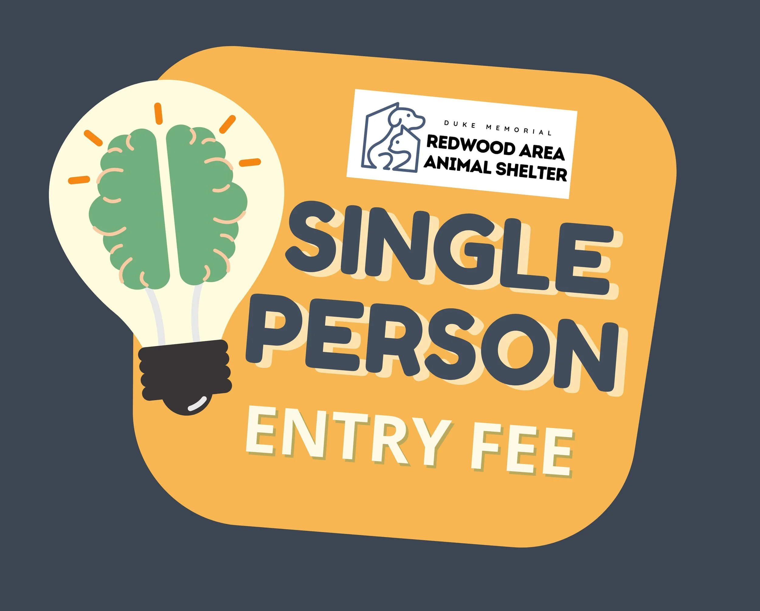 Trivia Night: Single Person Entry Fee