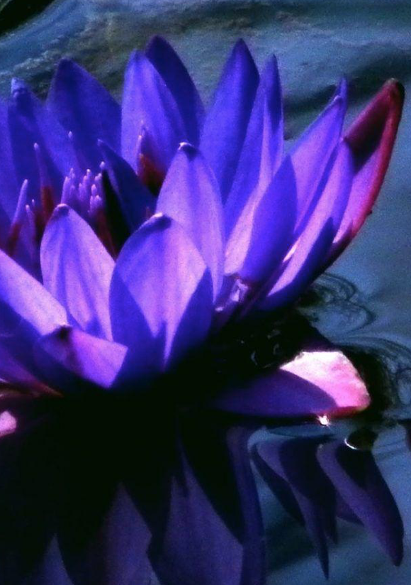 Bildschirmfoto 2025-04-30 um 14.41.37.png