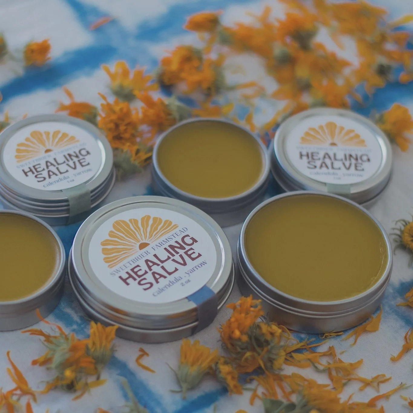 Healing Salve from Sweetbrier Farmstead shows two tins open, their lids and calendula flowers on white background, top view