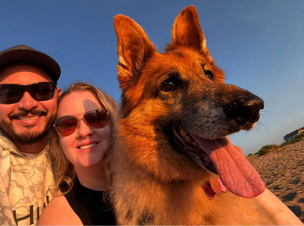Kellie V and her husband with their German Shepherd dog watching the sunrise on a Florida beach.