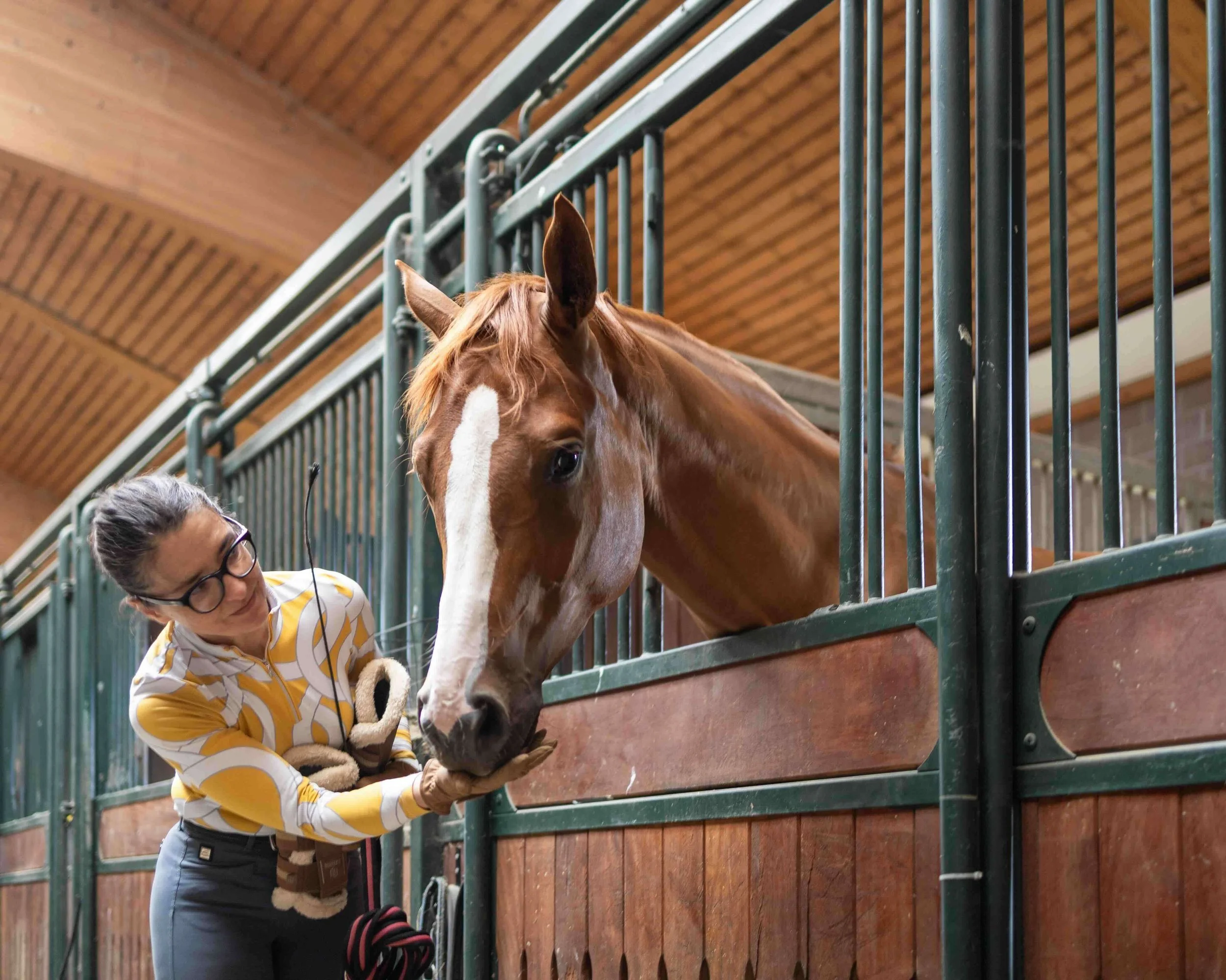 rider-feeding-horse-stable-door.jpeg