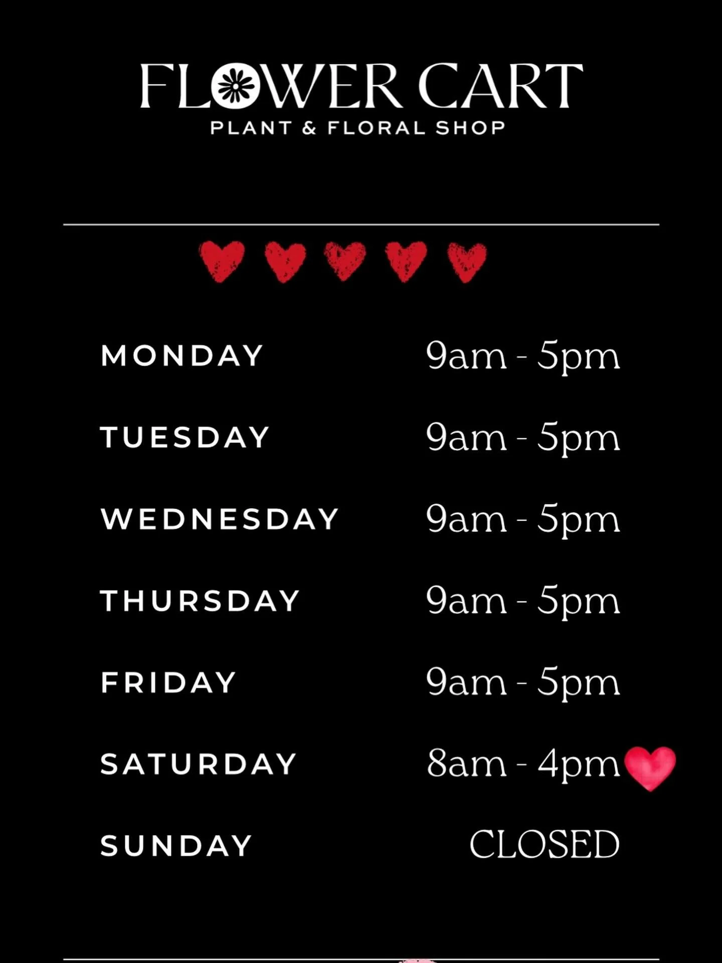 💖Extended hours next week allowing extra time to shop in advance💕

Let us help you find the perfect gift! 🎁 

📍Flower Cart 
  501 Main St 
  Webster, SD 57274
☎️605.345.3212
flowercartwebstersd.com