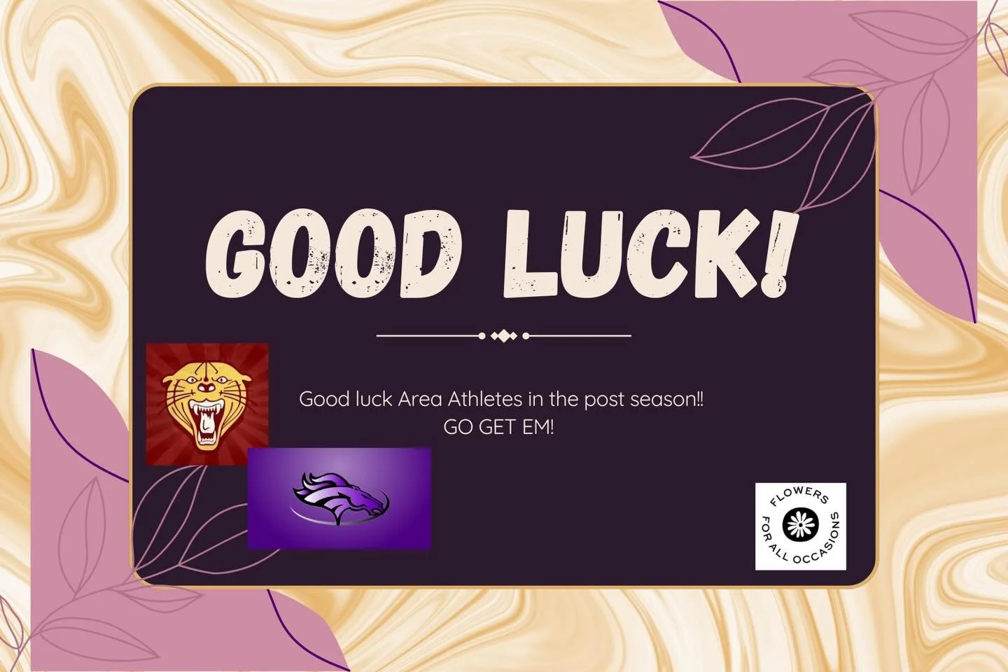 Wishing all area athletes the best in the post season!! ⛹️&zwj;♀️🤼

GO GET EM!!💪