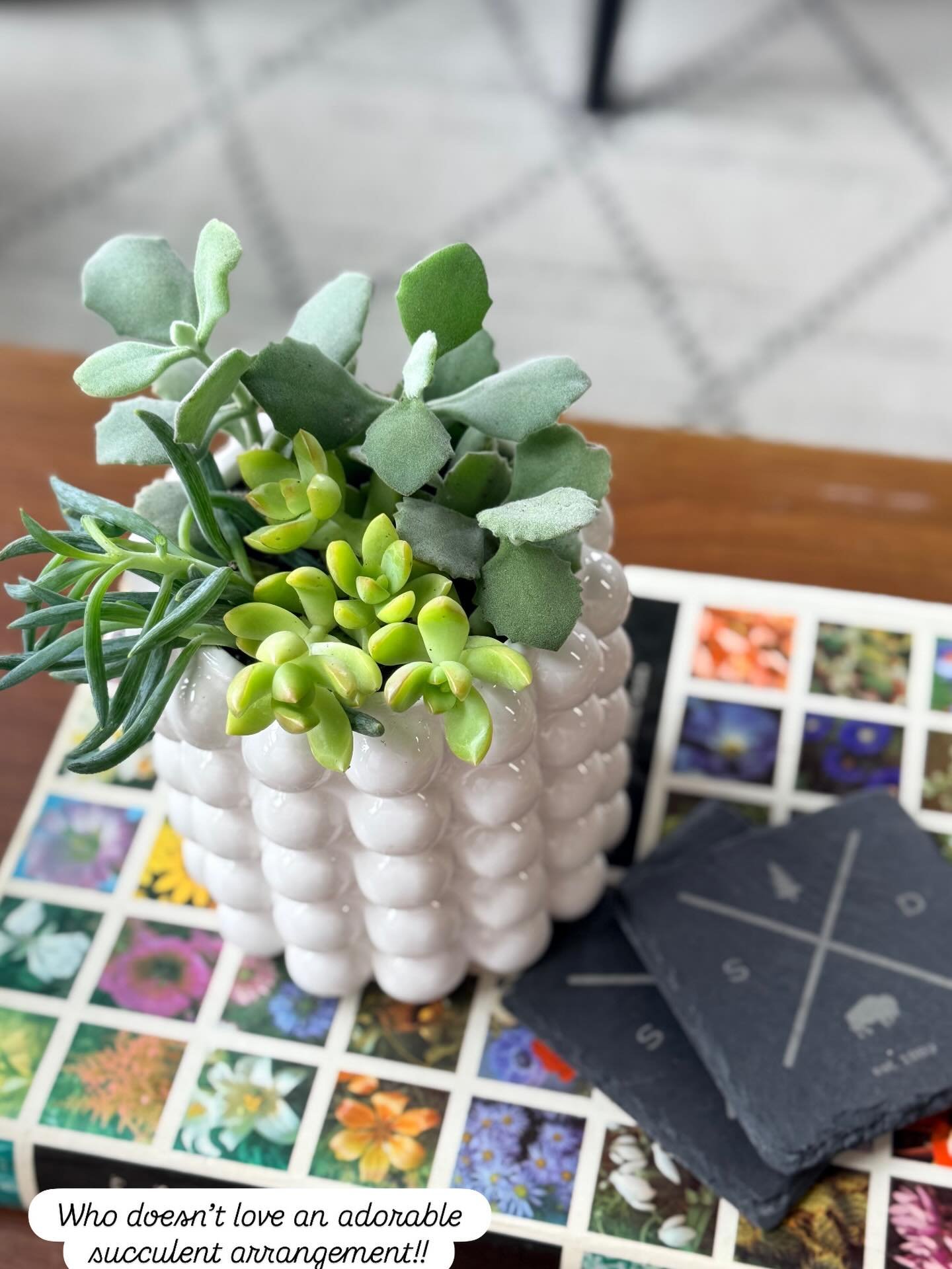 Succulent planters make the best gifts 🎁 

Stop in and we can create a beautiful planter for you or choose from our premade selections. 

Open all week 9:00am-5:00pm. 

☎️605.345.3212 
or order online 
flowercartwebstersd.com

#teacherappreciationwe