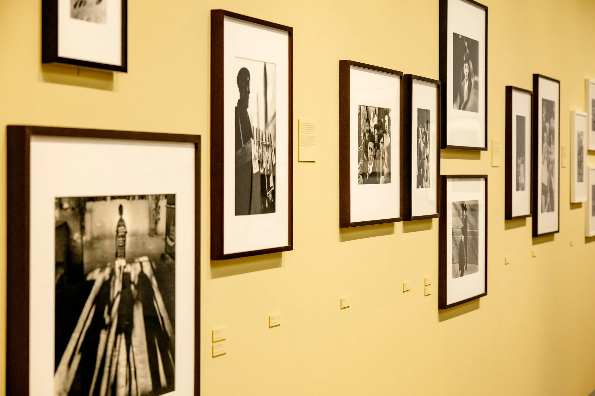 ©NinaCarne_Sala expo EMANCIPACIONS FFC_003.jpg