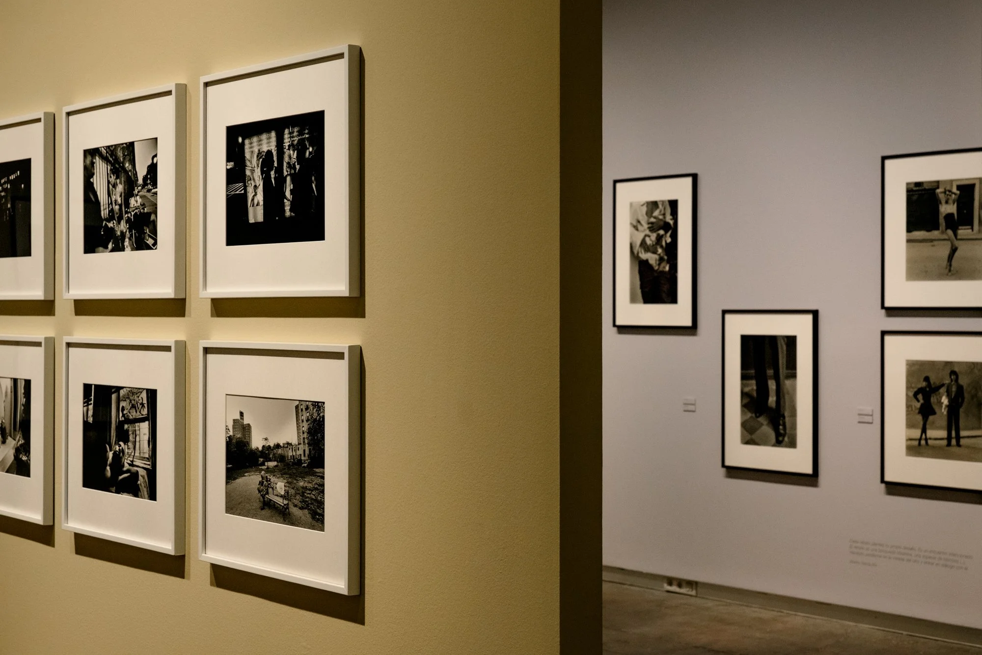 ©NinaCarne_Sala expo EMANCIPACIONS FFC_011.jpg