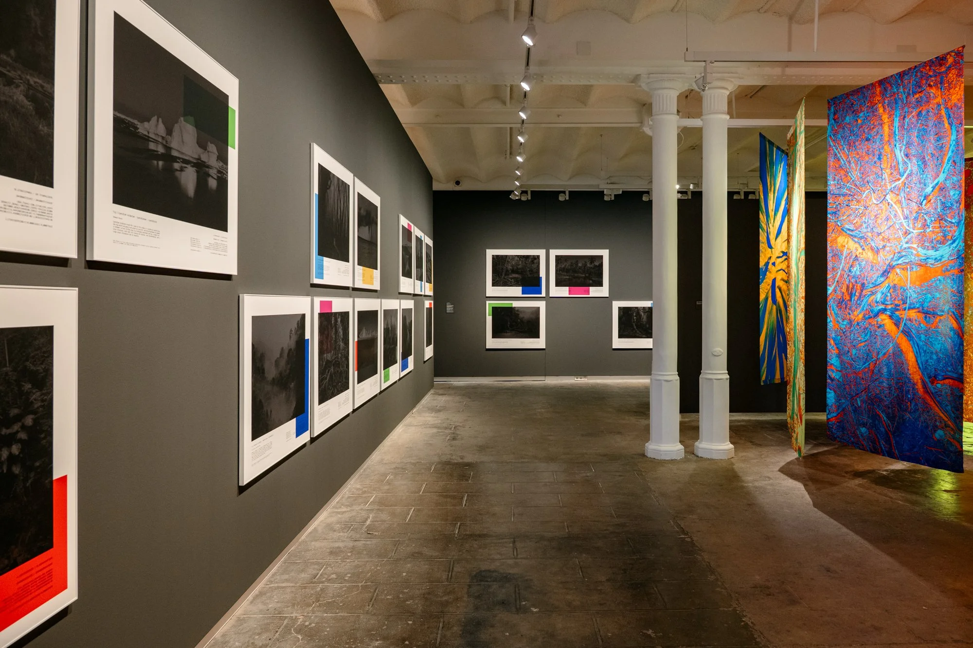 ©NinaCarne_Sala expo Max Esteban FFC_001.jpg