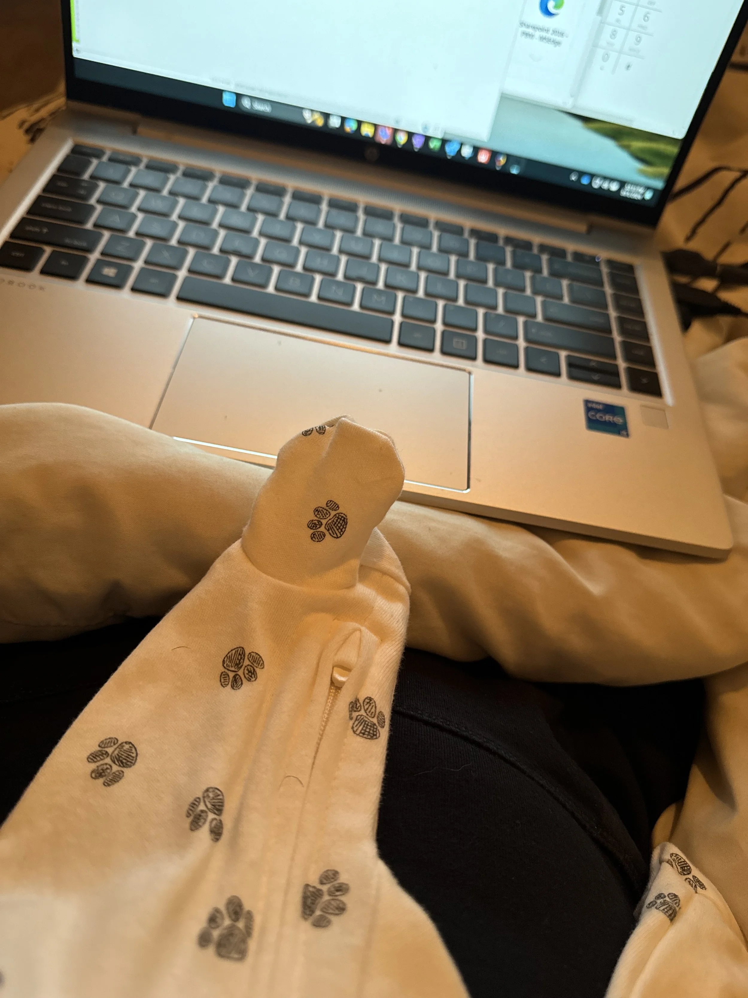 goober onesie.jpg