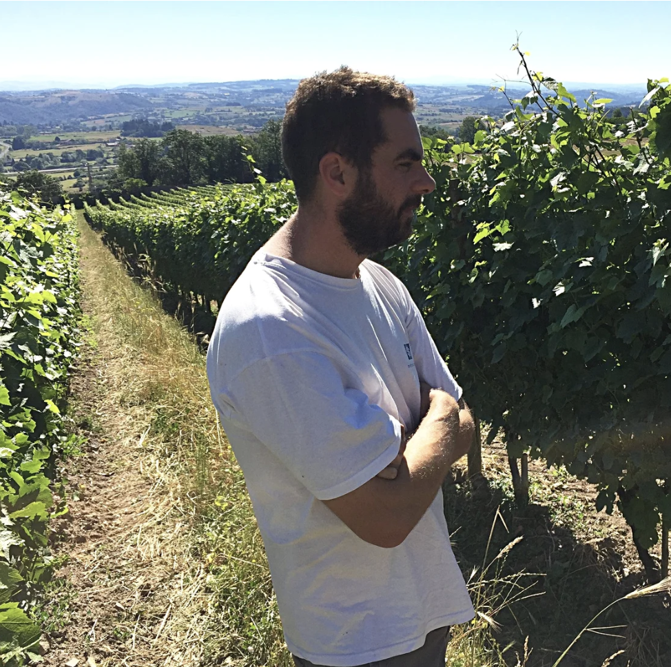 Domaine des Pothiers
