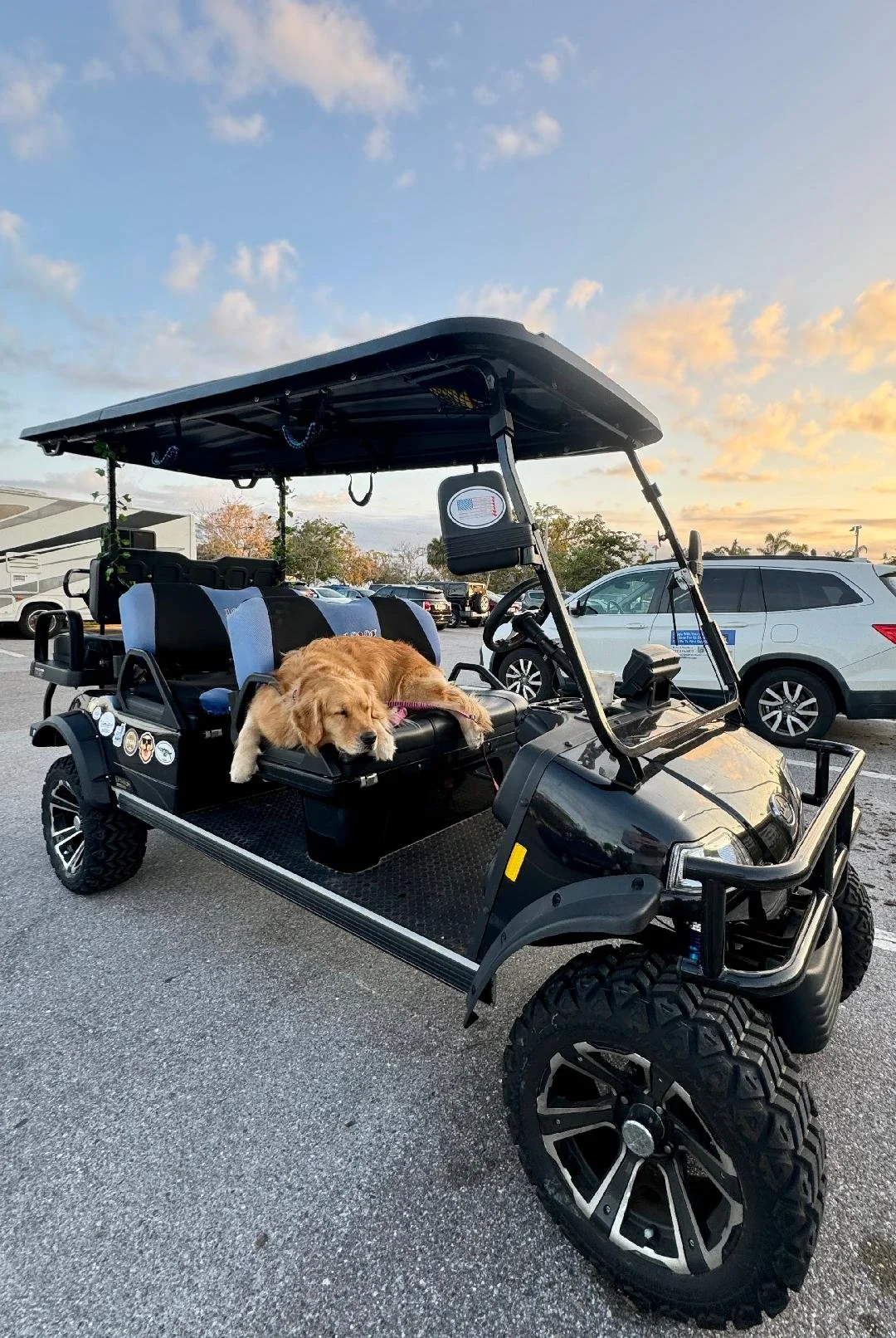 A black utility golf cart with a golden retriever dog sleeping on the seat, parked in a parking lot during sunset.