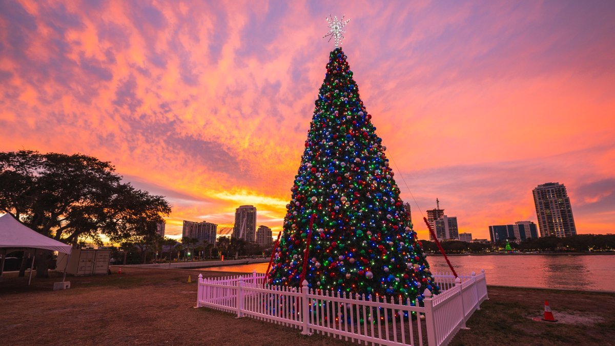 Large decorated Christmas tree glowing at sunset along the St. Pete waterfront, part of the downtown holiday lights seen on a golf cart route.