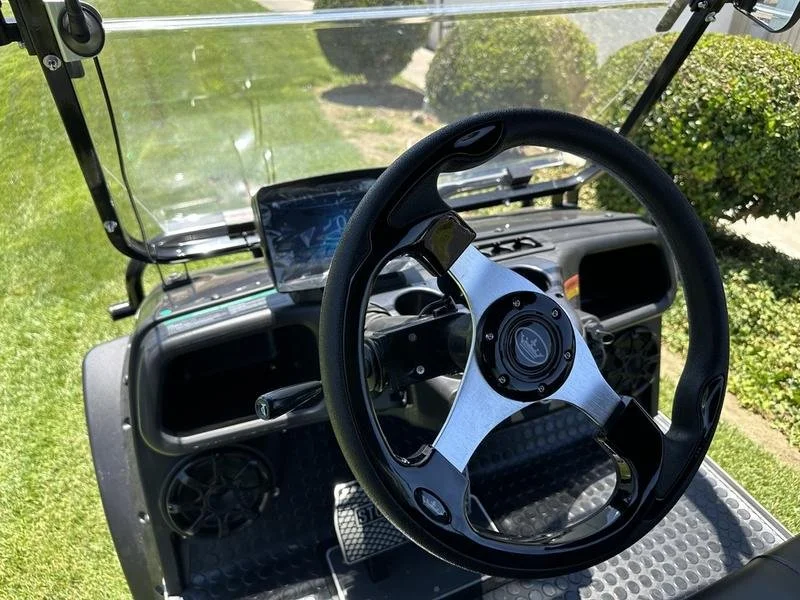 Modern steering and digital dash on our electric cart.