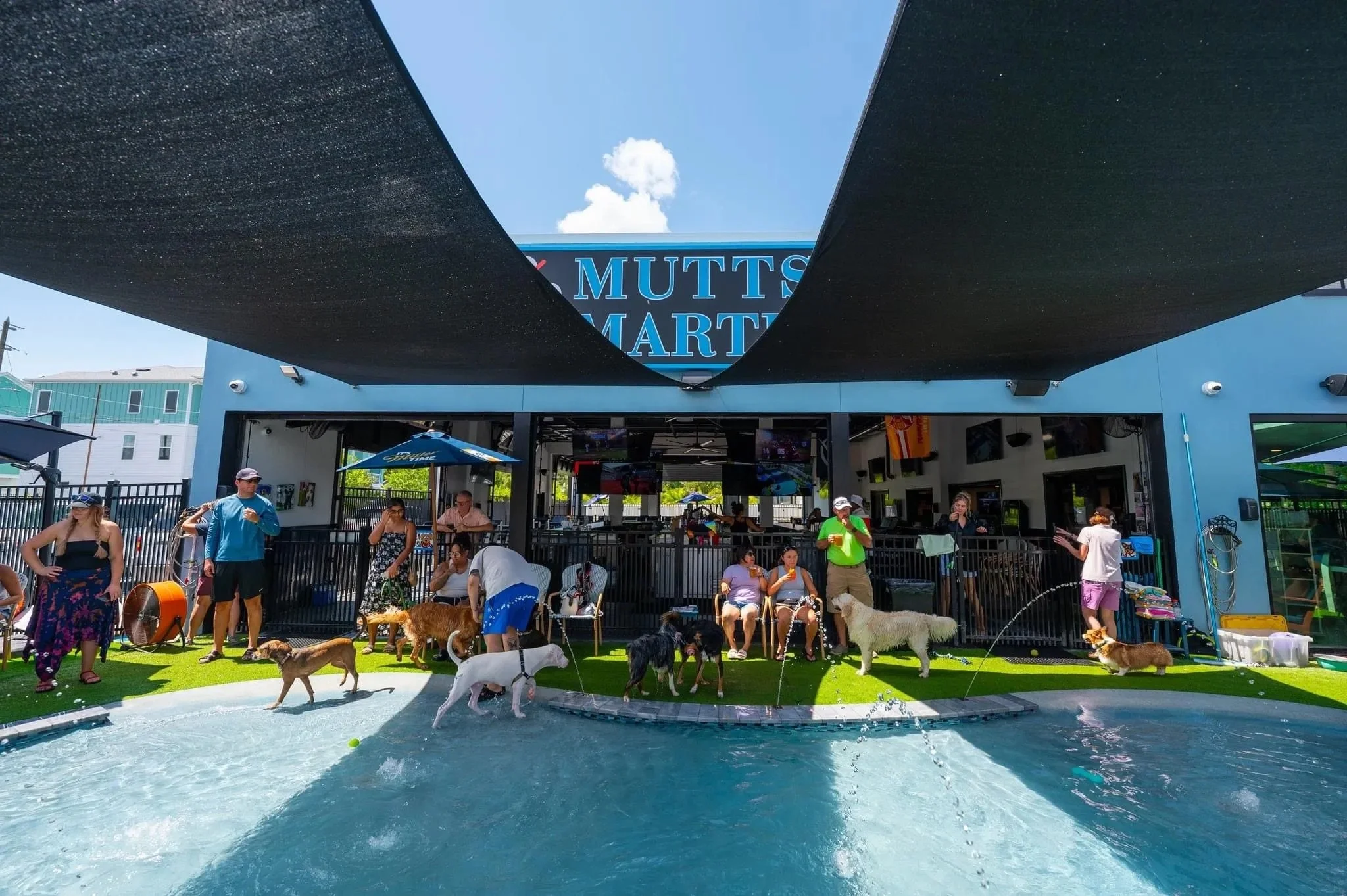 Dogs and visitors enjoying Mutts & Martinis in downtown St. Petersburg, Florida during Memorial Day weekend.