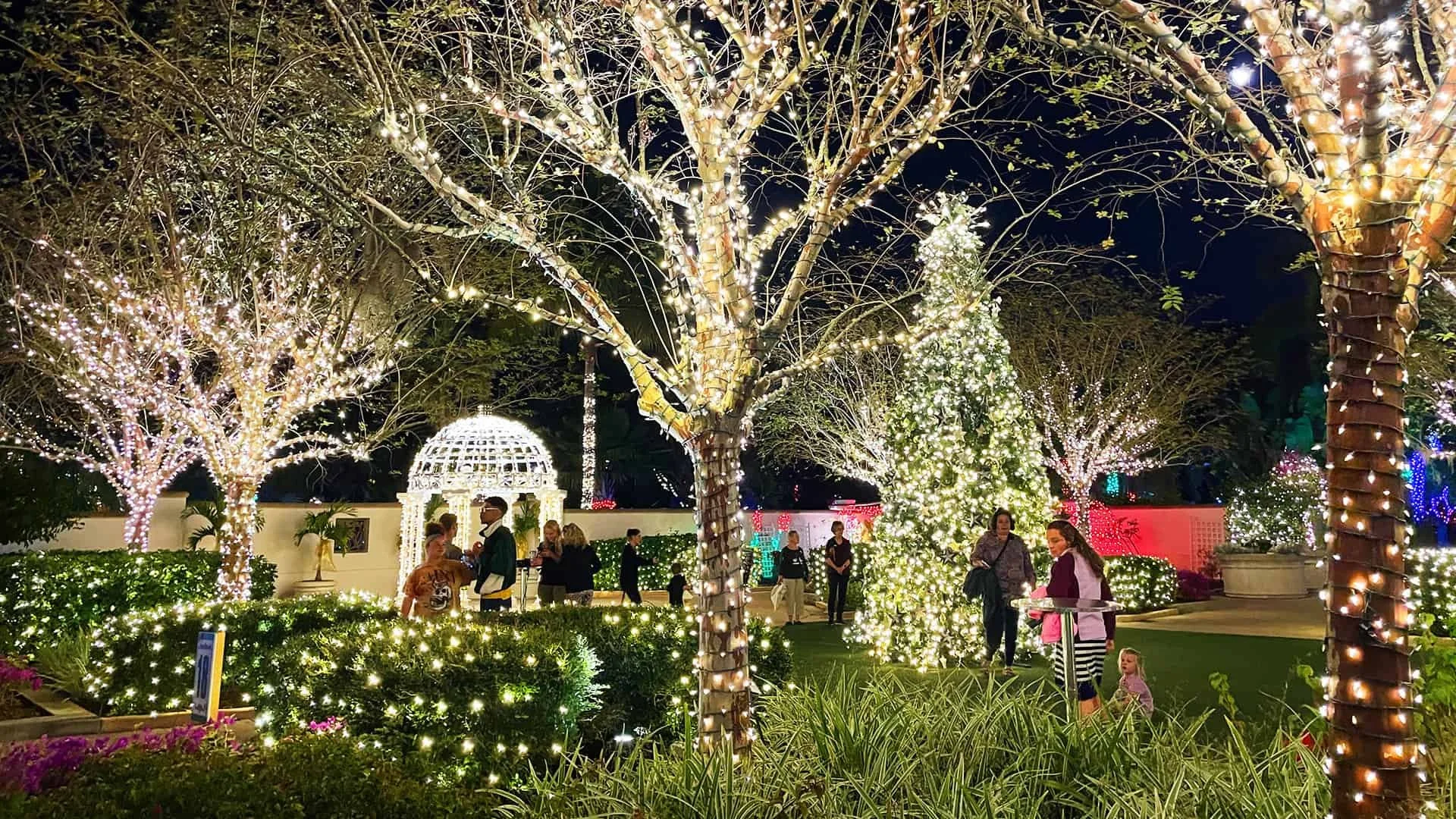Holiday garden lights display in downtown St. Pete with glowing trees, a lit gazebo, and families walking through the Christmas light path.