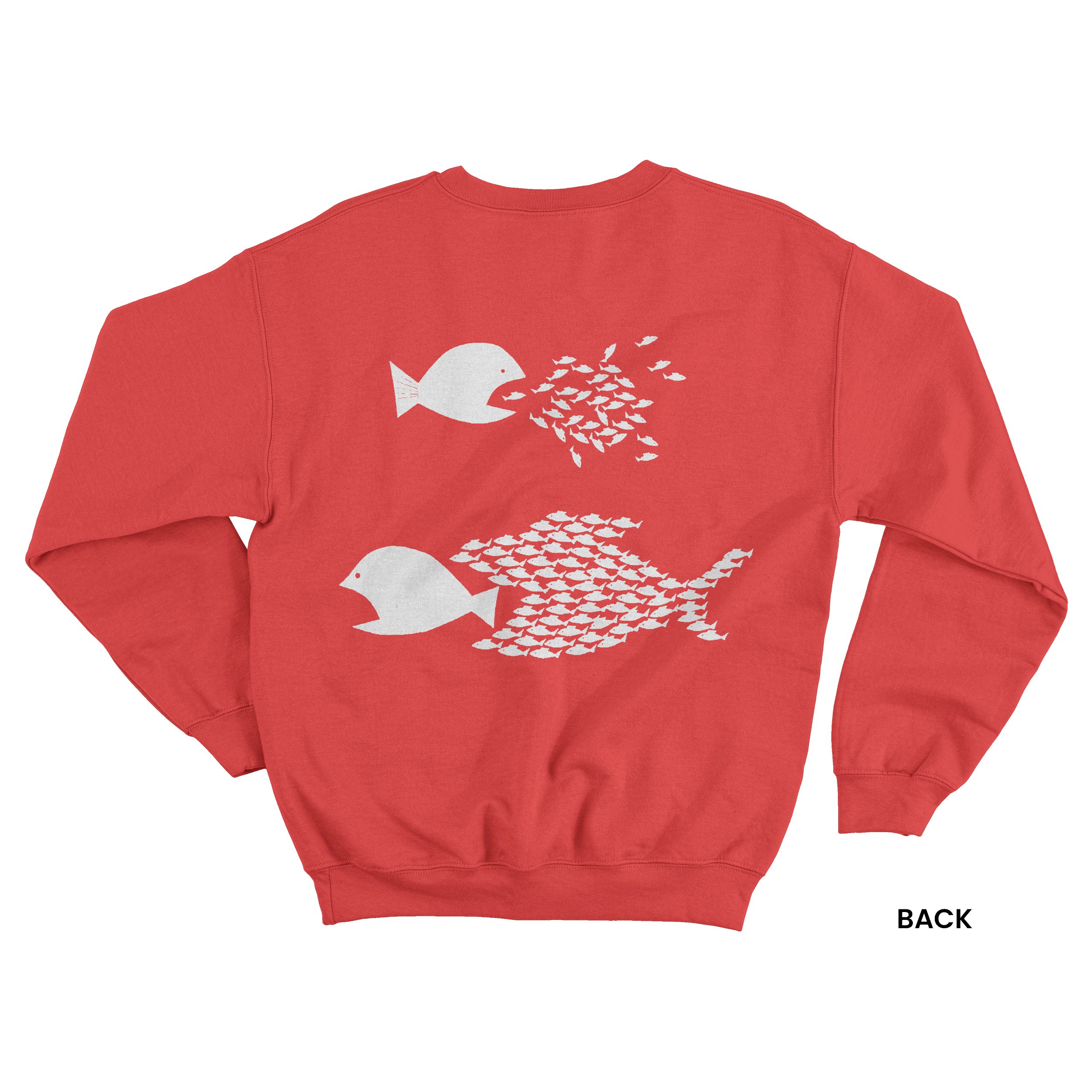 FishSweatshirt_RedWhiteBack.png