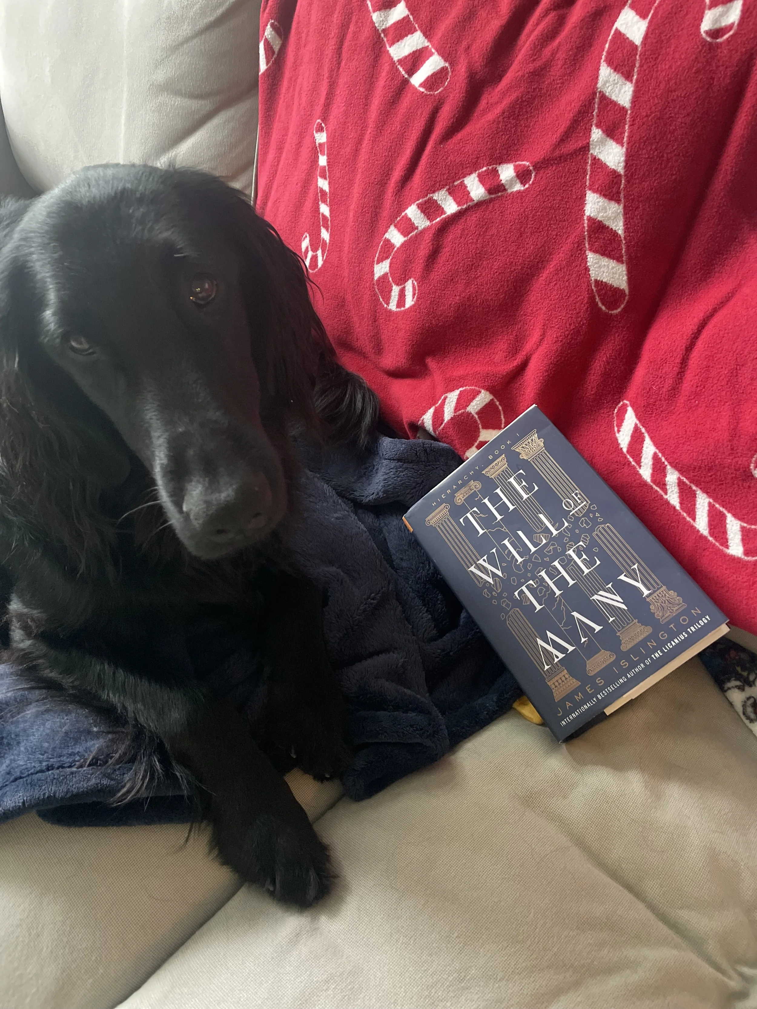 Book Review: The Will Of The Many by James Islington