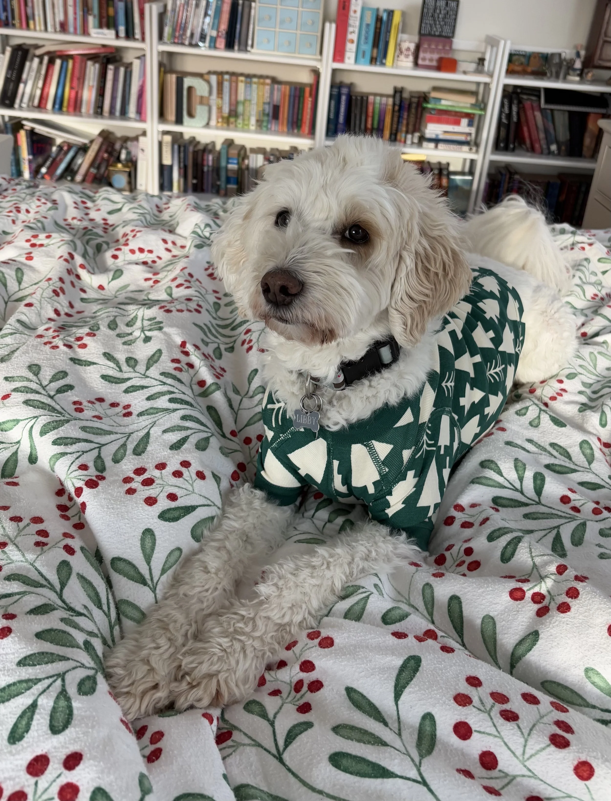 Christmas Reading Traditions