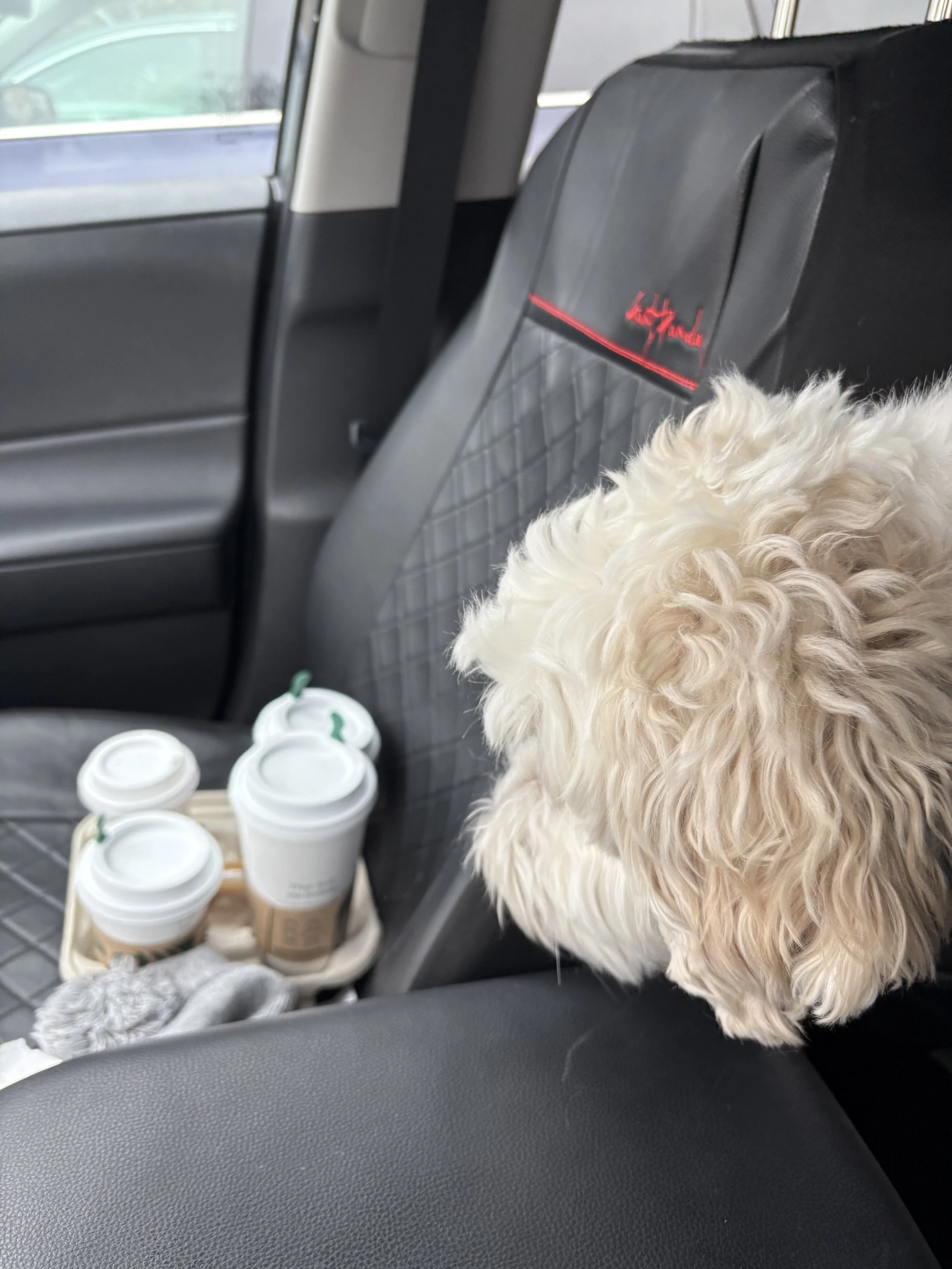 The RomCom Resurgence