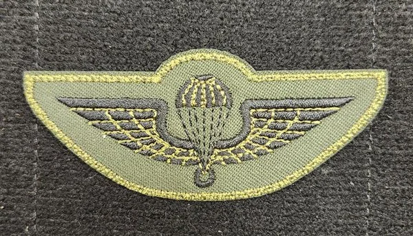 PATCH-INTL-WINGS01.jpg