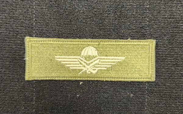 PATCH-REC-GLD.jpg