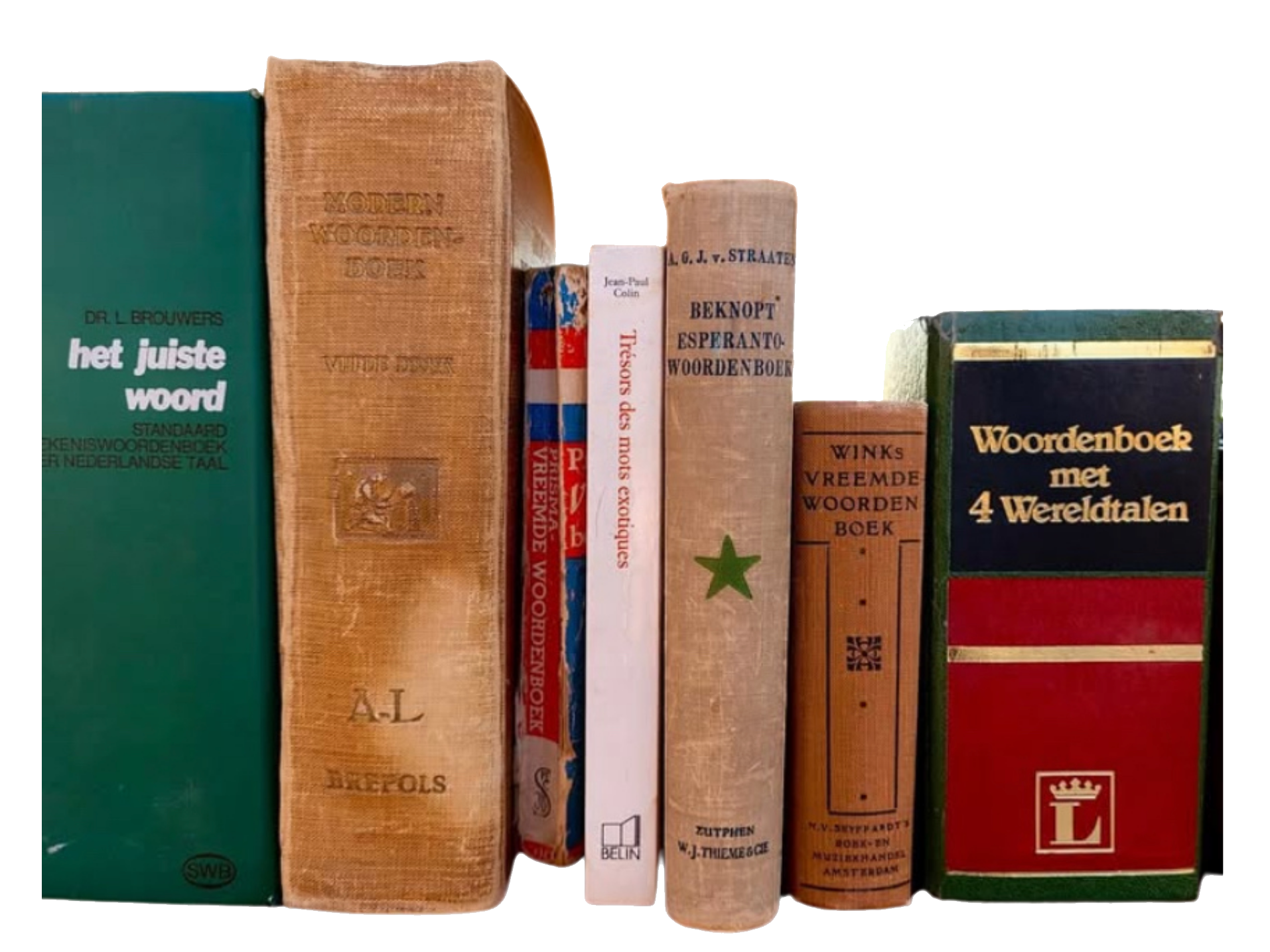 Een rij boeken, variërend in grootte en kleur, met titels over talen, woordenboeken en taalgebruik.