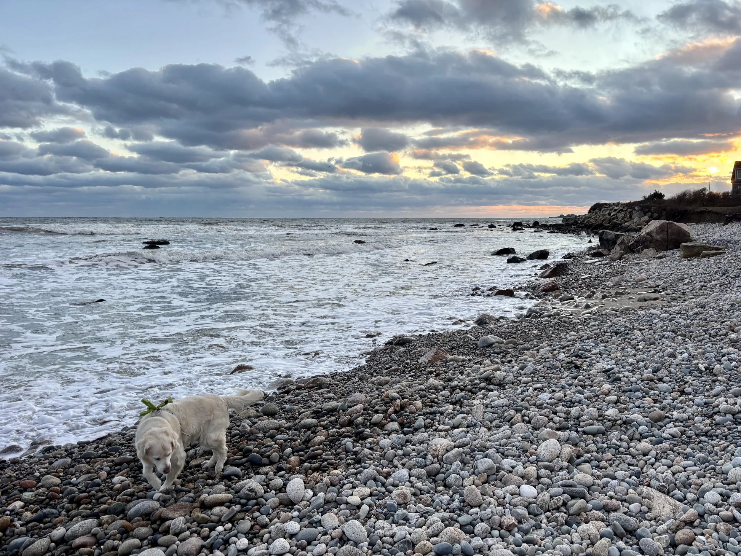 What To Ask Before Hiring Your Parents' Financial Advisor