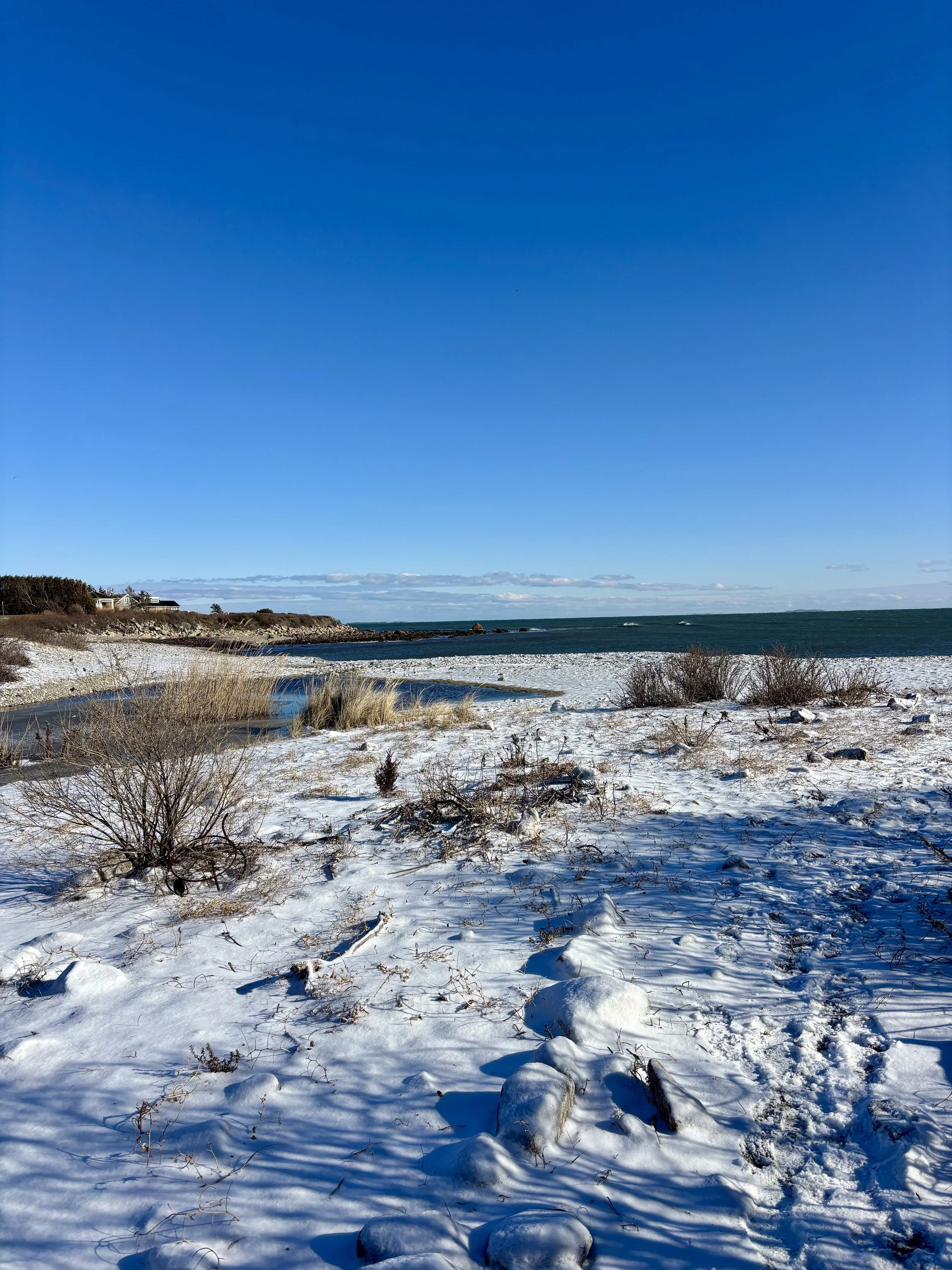 Winter 2026 Newsletter