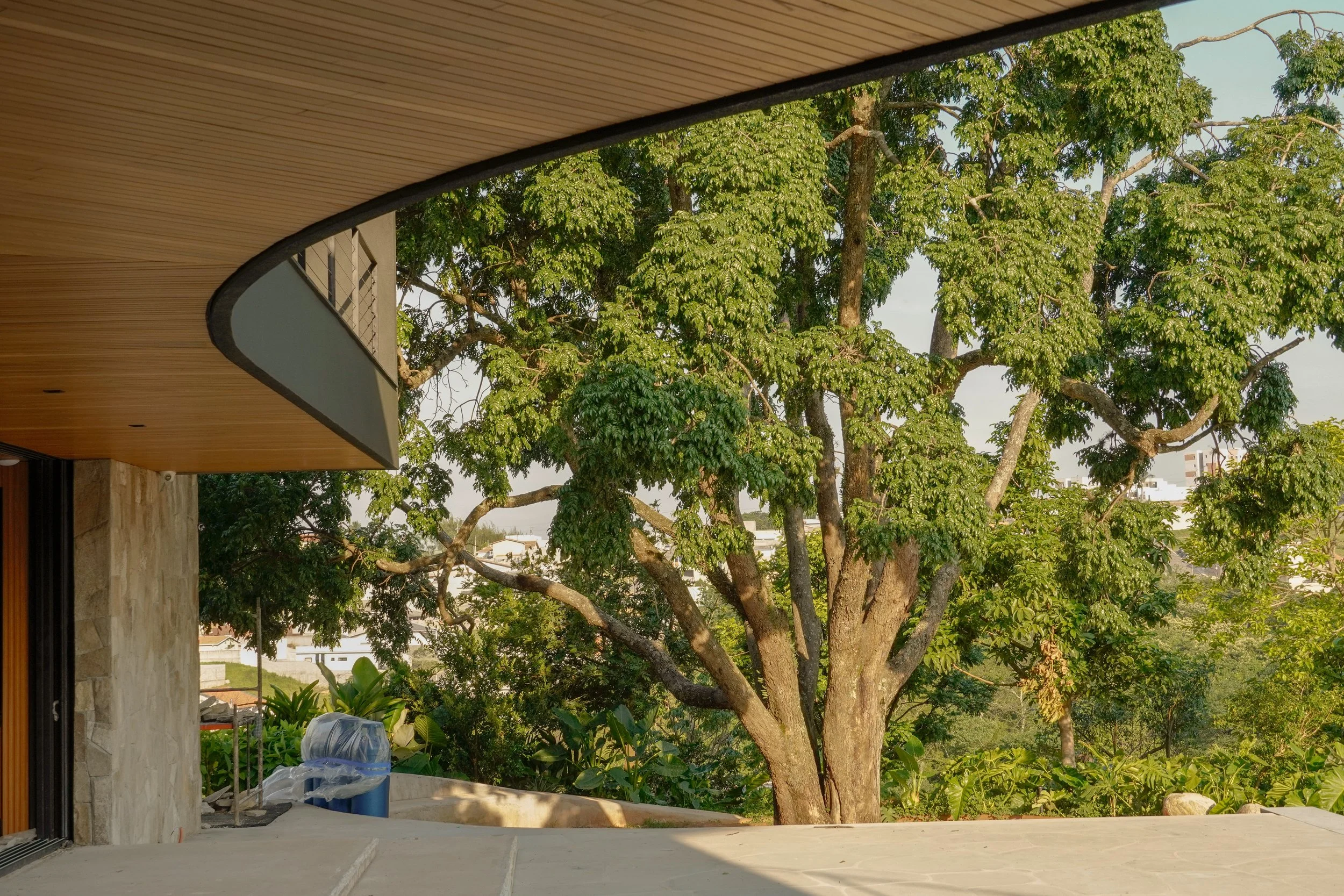 _DSC2611 - Copia.jpeg