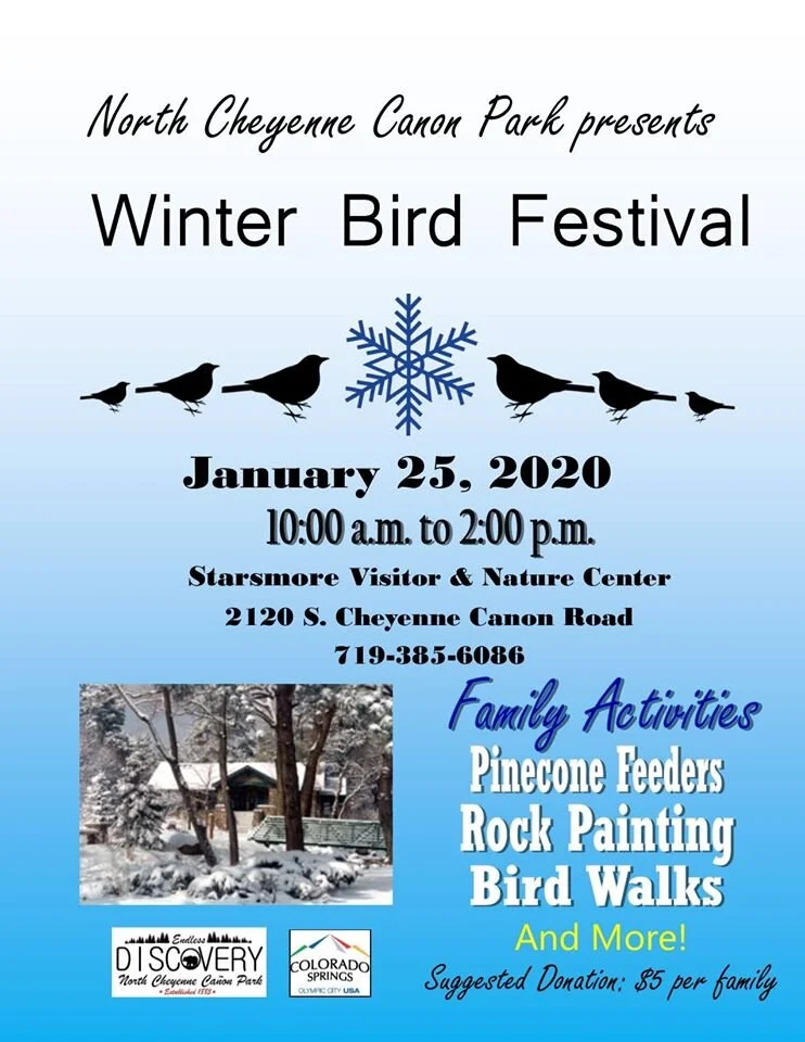 Winter Bird Festival